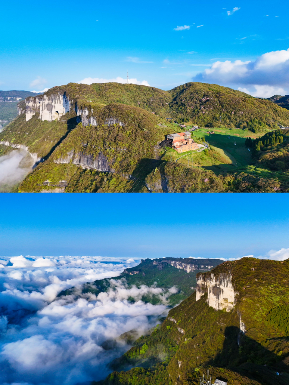 重庆南川金佛山风景区图片