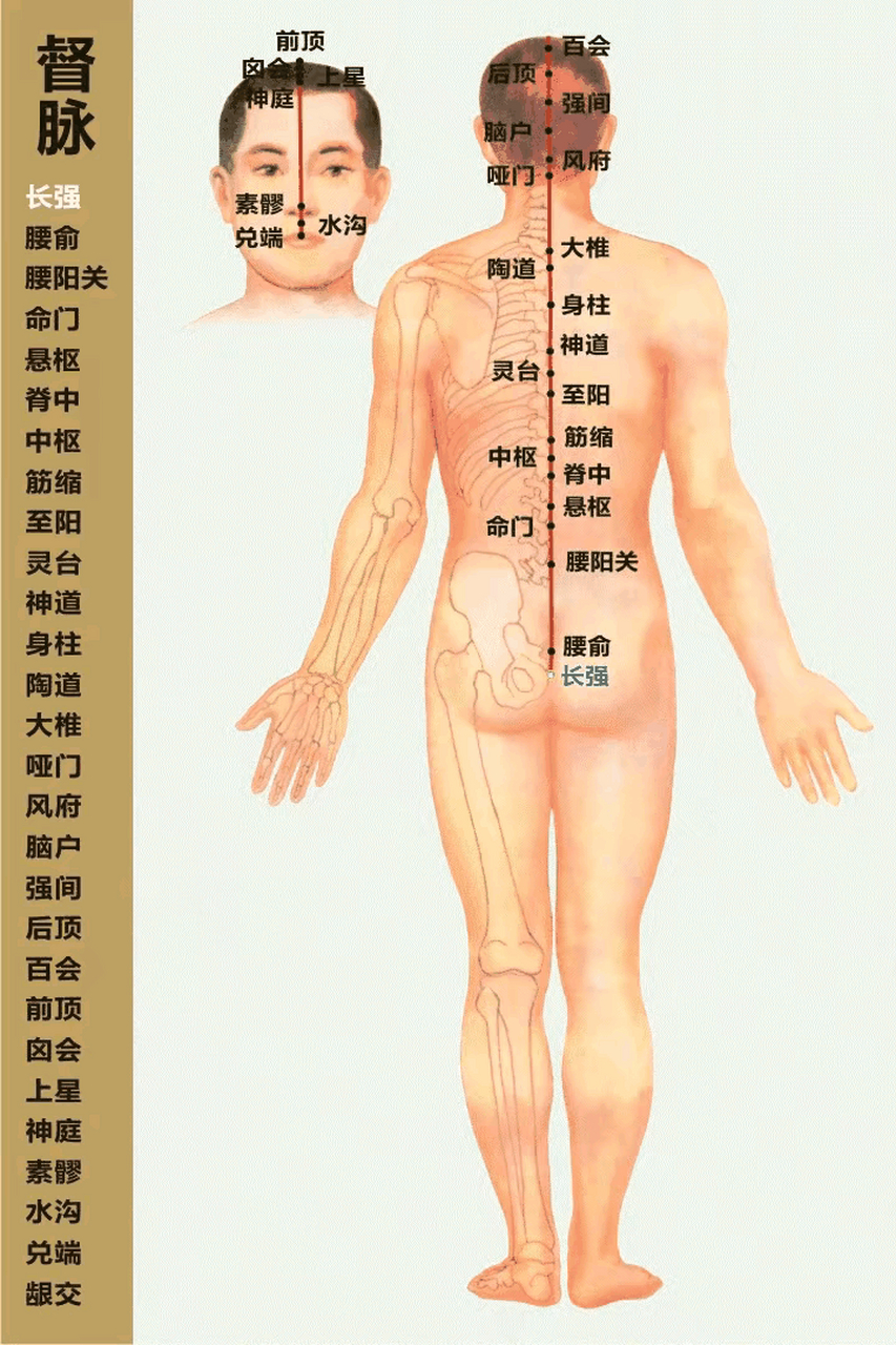 人身12经络穴位全图