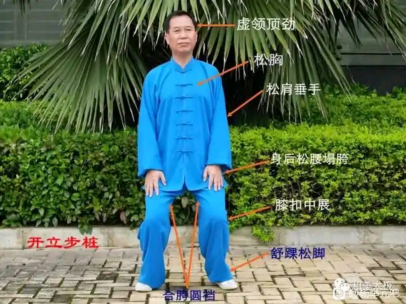 健康知识科普# 站桩(浑圆桩)的标准姿势和要点 很多朋友问,怎么站桩.