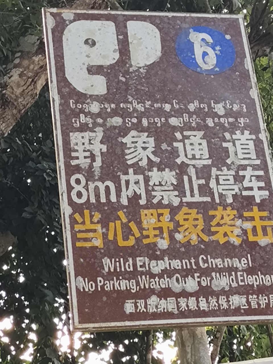 云南野象行进路线图图片