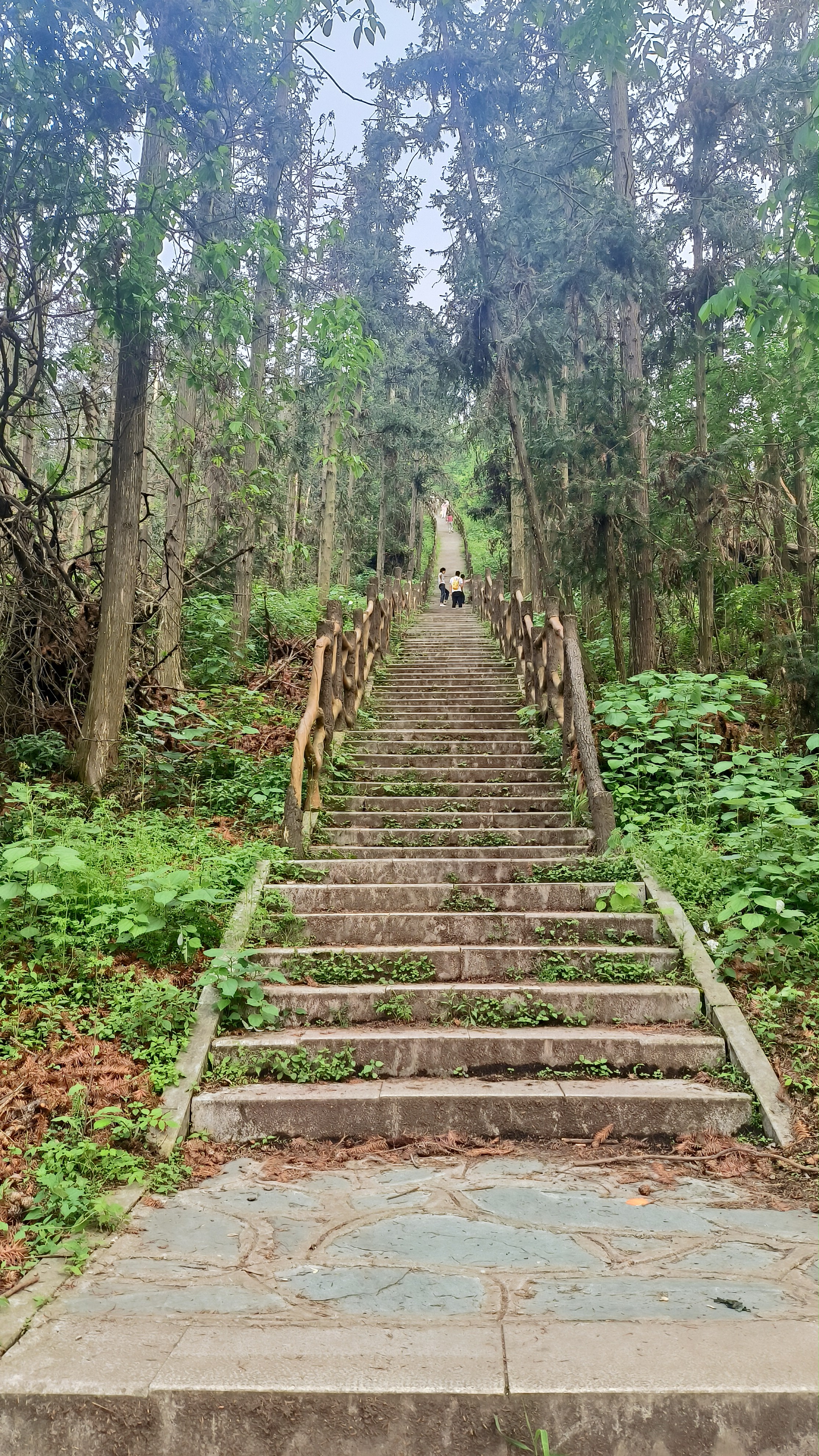 八分山海拔图片