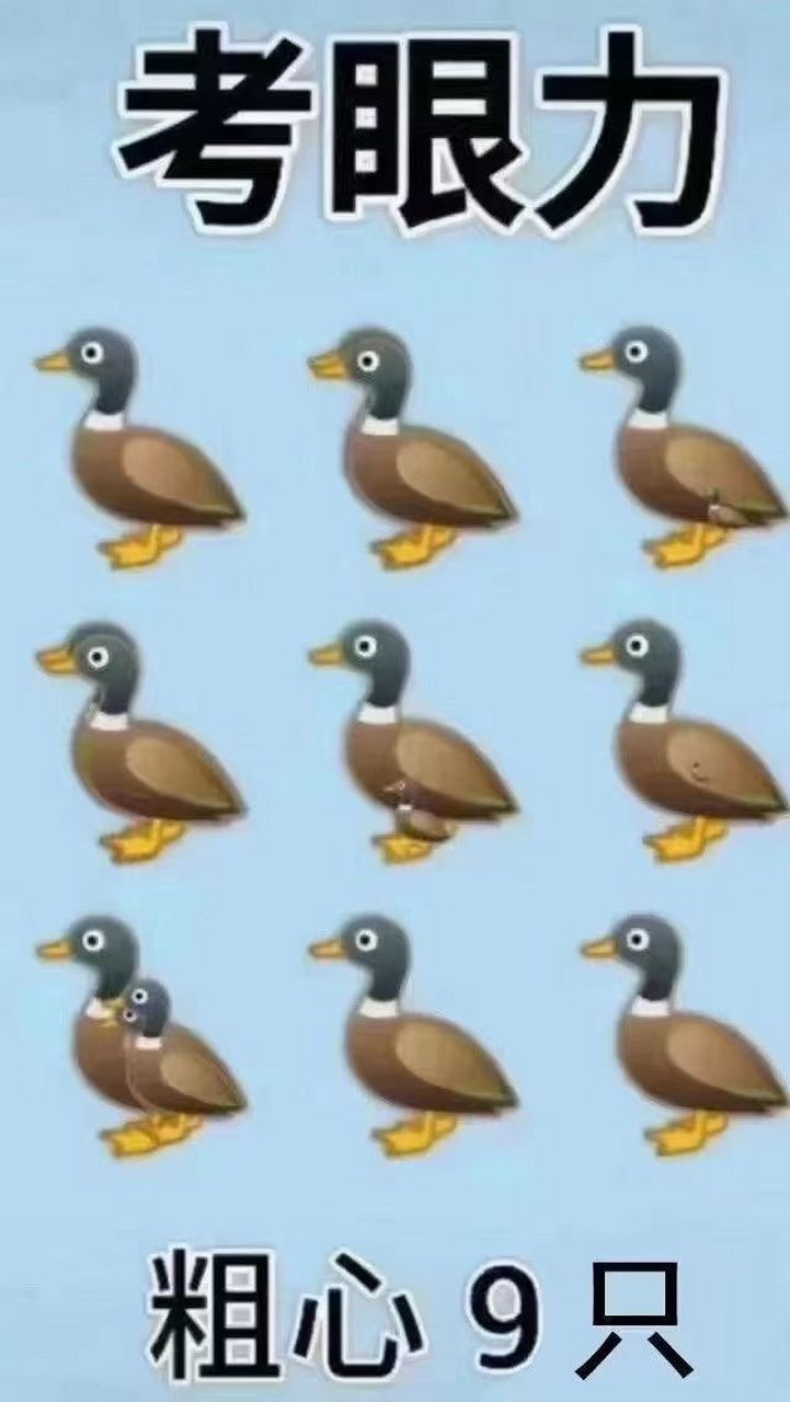 考眼力图中有几只鸭子