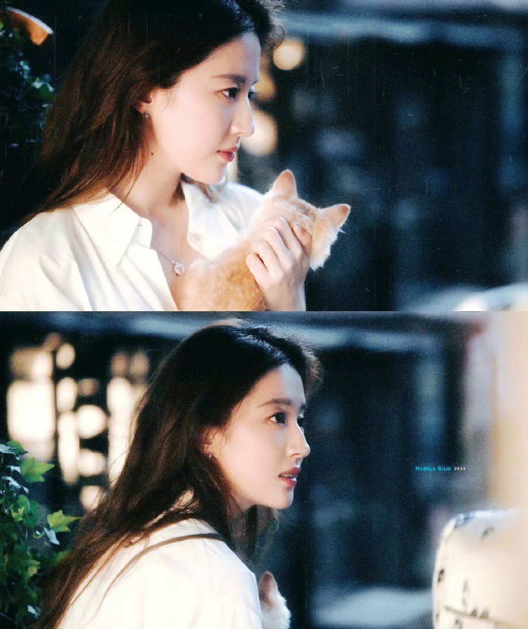 偶然想你,经常偶然#刘亦菲