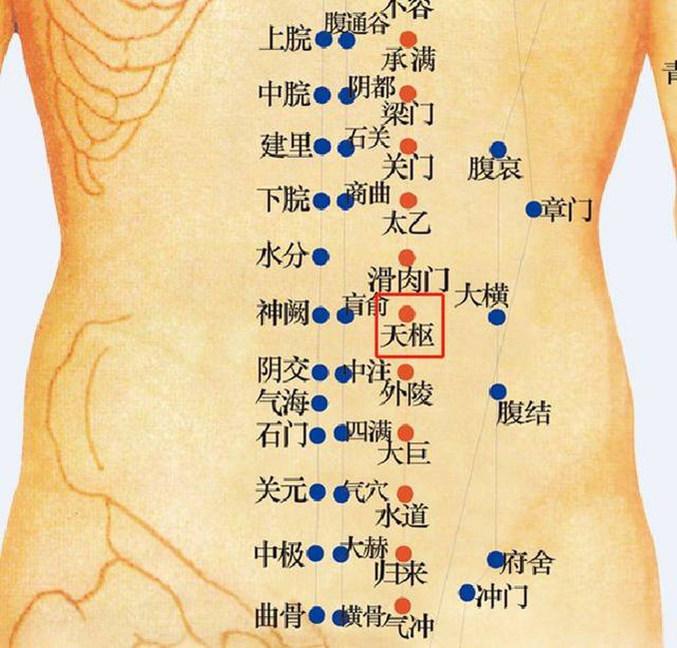 用健康宝烤小腹的七个好处 第一:疏通带脉,紧致肌肤,收紧线条,瘦身 第