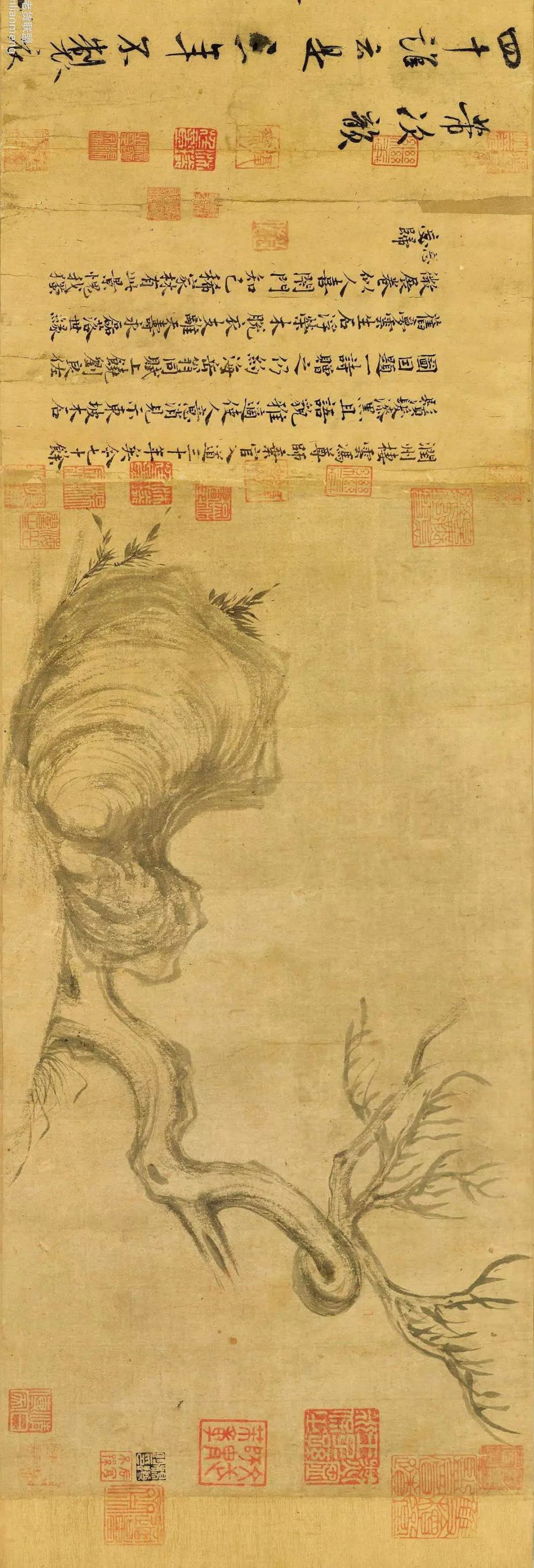 观苏轼《木石图 委曲枝干形似蜗,虚名恰如枝上雀.