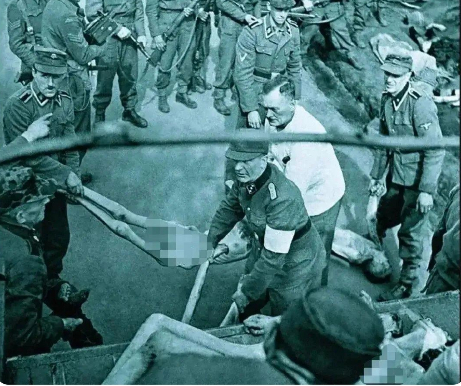 这张照片拍摄于1945年,苏联红军攻入波兰以后,占领了奥斯维辛集中营