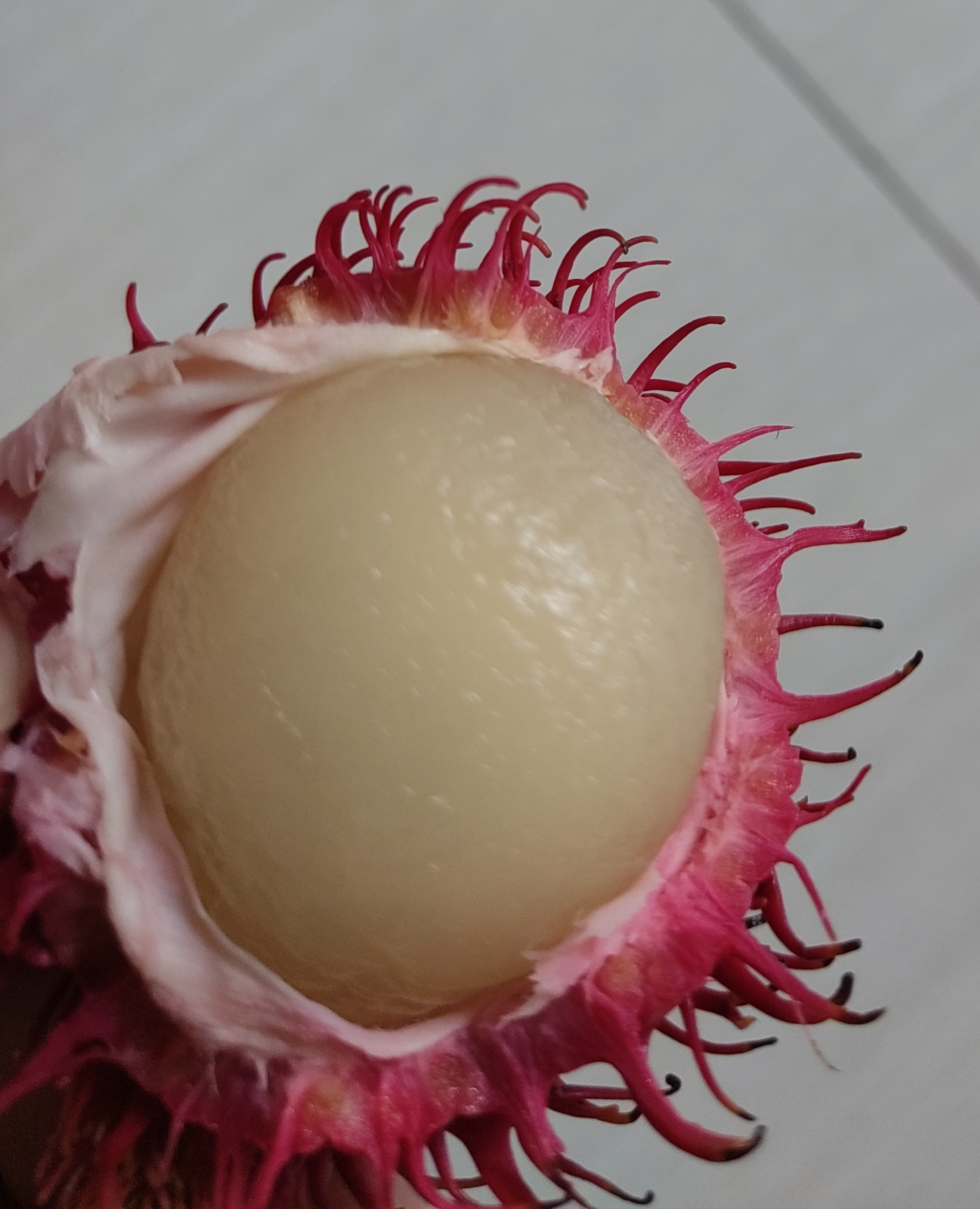 这个是红毛丹.我们这地方都称作毛荔枝