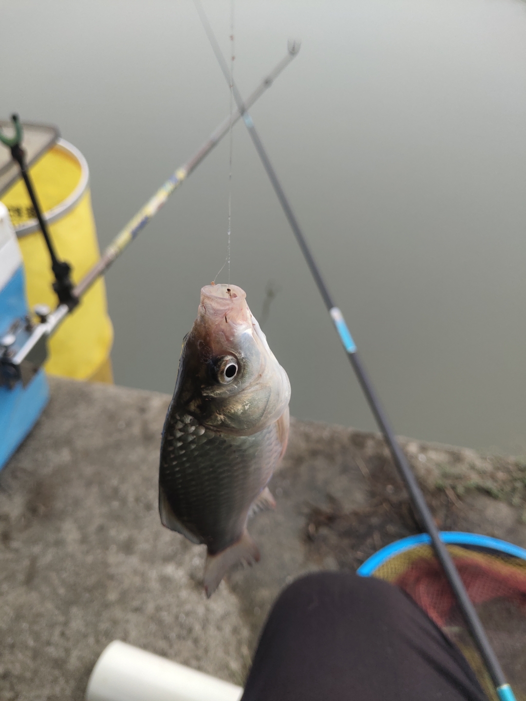 扛不住钓友们的热情了,国庆假期老钓鱼人的垂钓安排已经满满的了