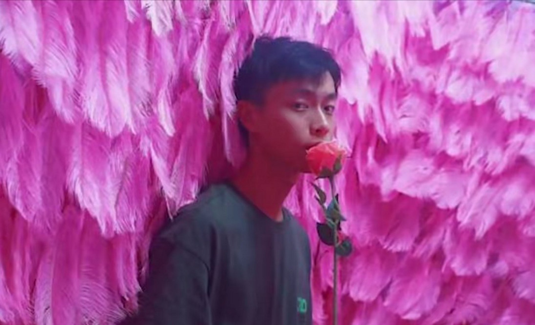 海王子阿源 刚才阿源发了个视频,说他露脸了[滑稽] 于是我用我单身十