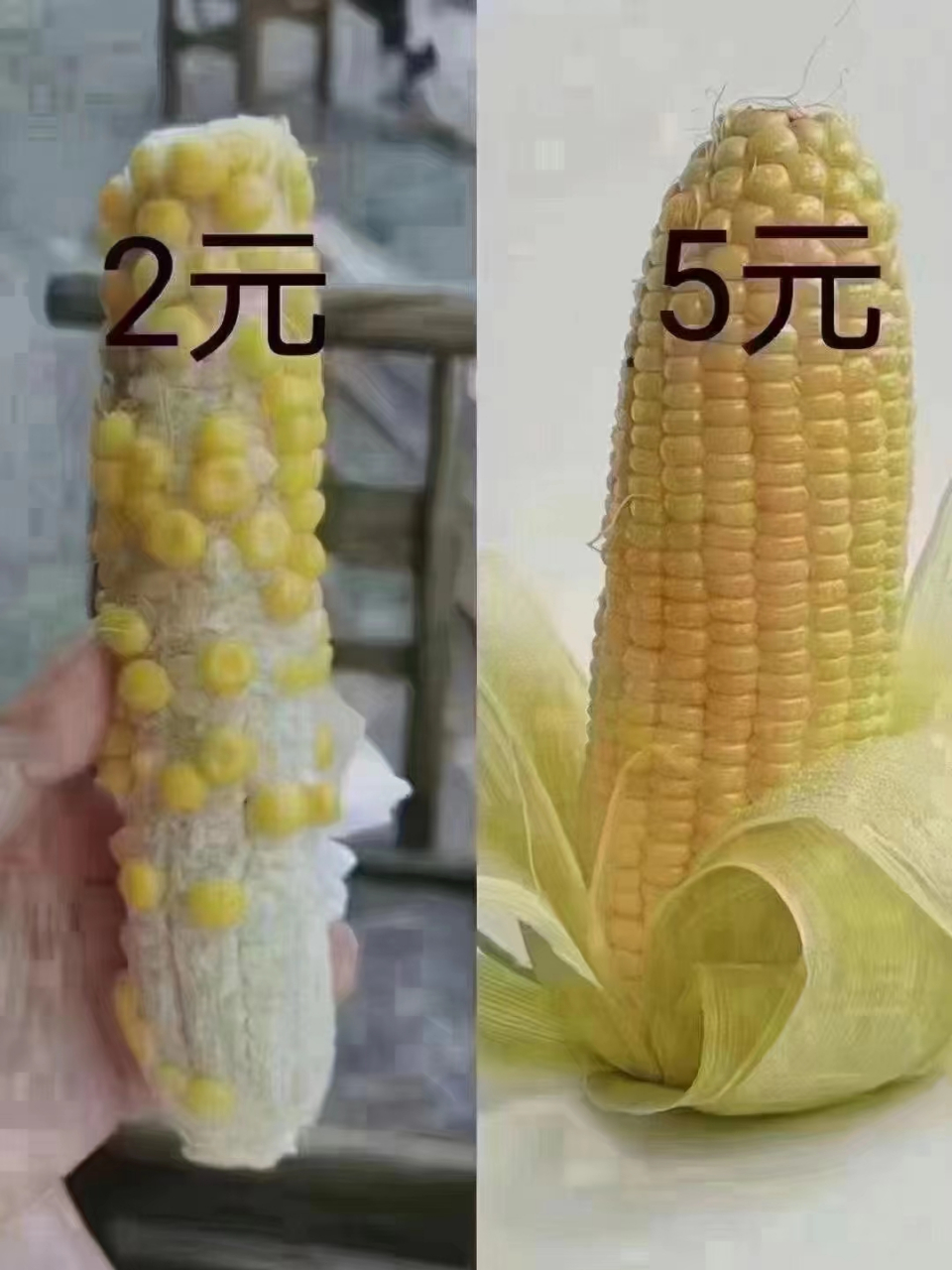 品质决定价格 67在乎品质 67请尊重它的价格 67贪图便宜 67就