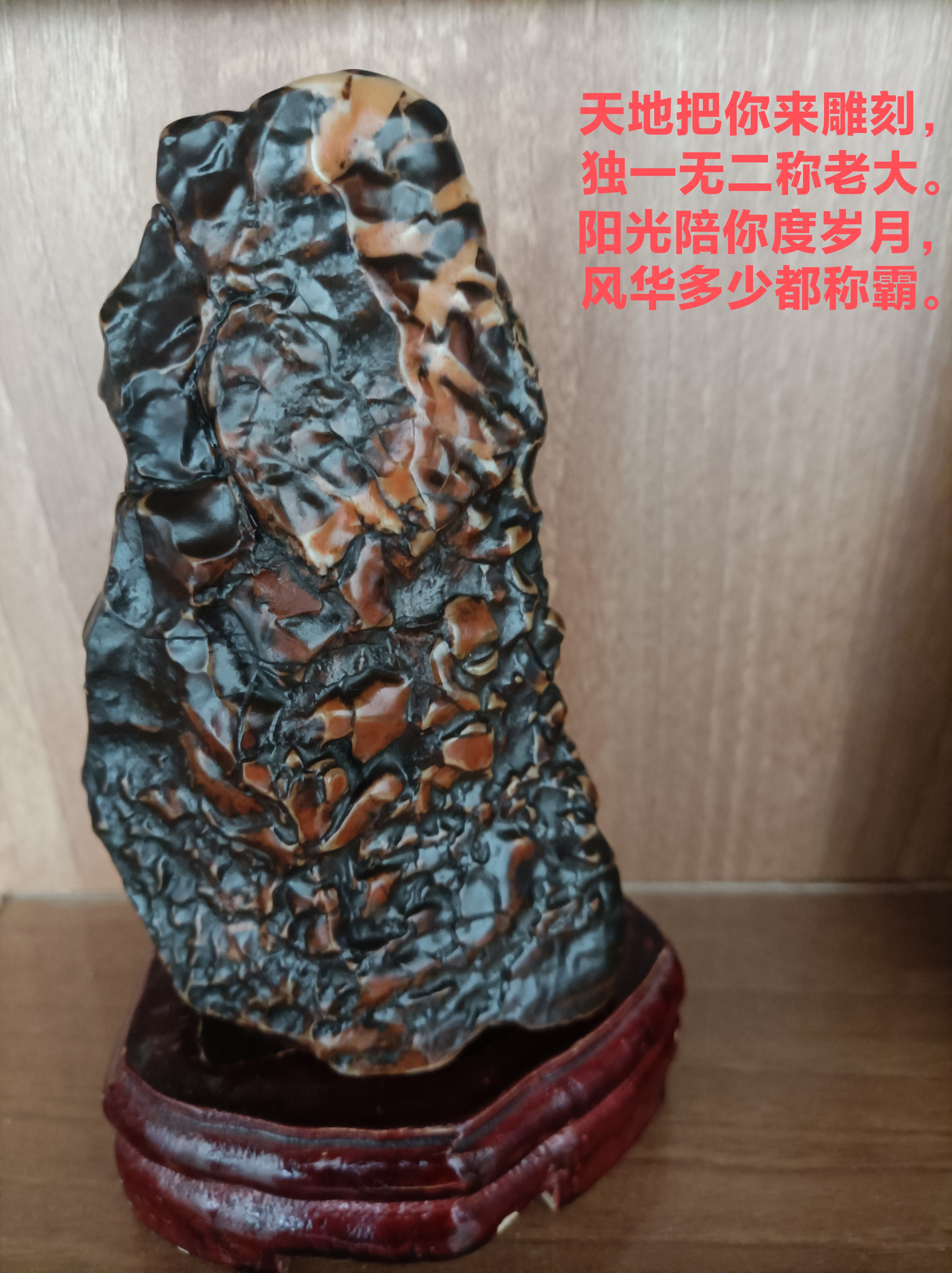 请欣赏沙漠奇石  来自戈壁滩的贵族