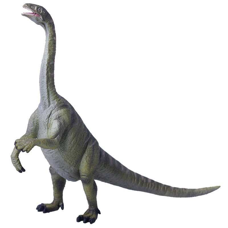 恐龙资料 恐龙名称 板龙 拉丁文名  plateosaurus 全拼 playt