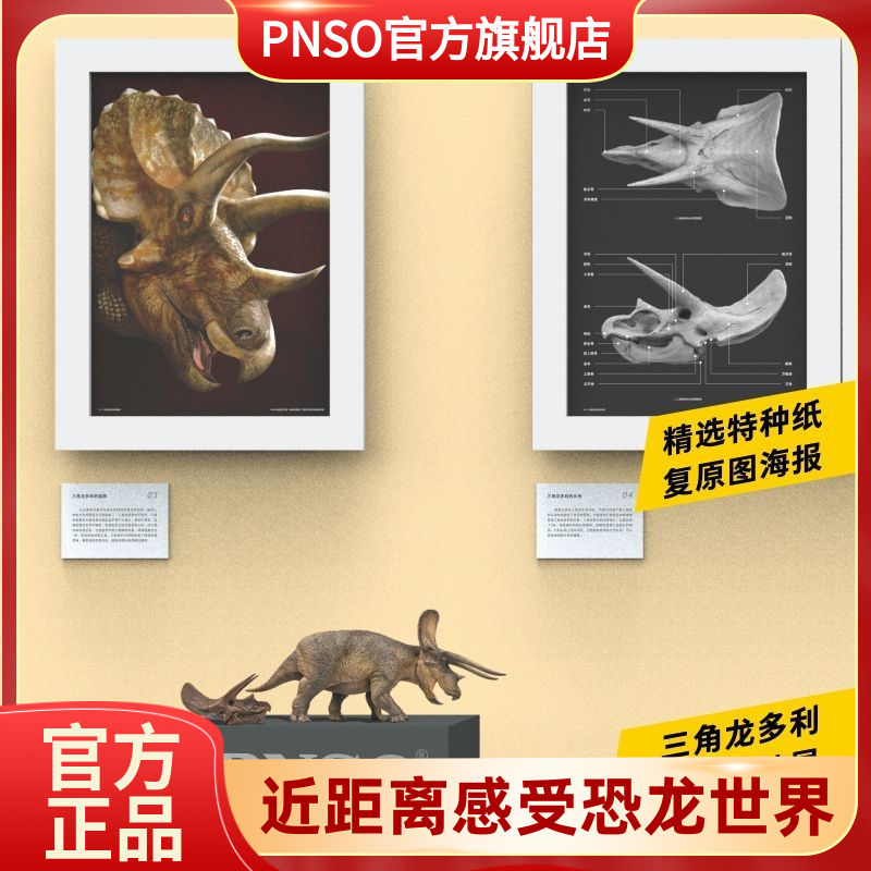 triceratops)鸟臀目角龙下目角龙科的草食性恐龙的一属,化石发现于北