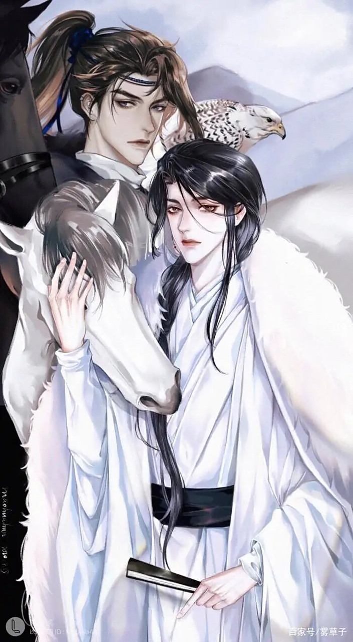 中人之姿……沈兰舟