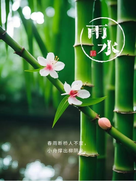 春雨断桥人不度,小舟撑出柳阴来