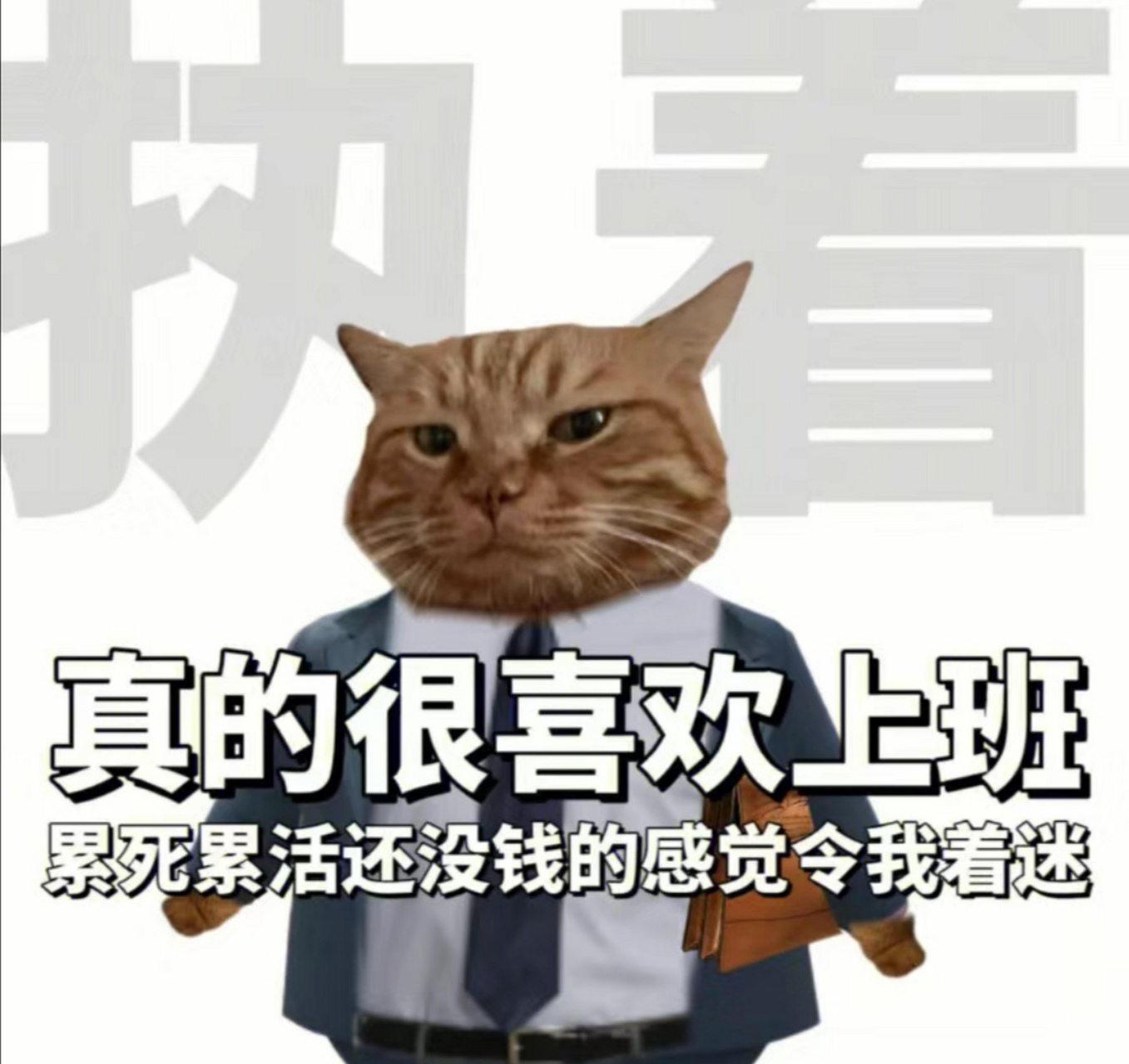 每天给自己洗脑八百遍:我爱工作,我爱工作.#搞笑# #职场# #猫# #猫咪