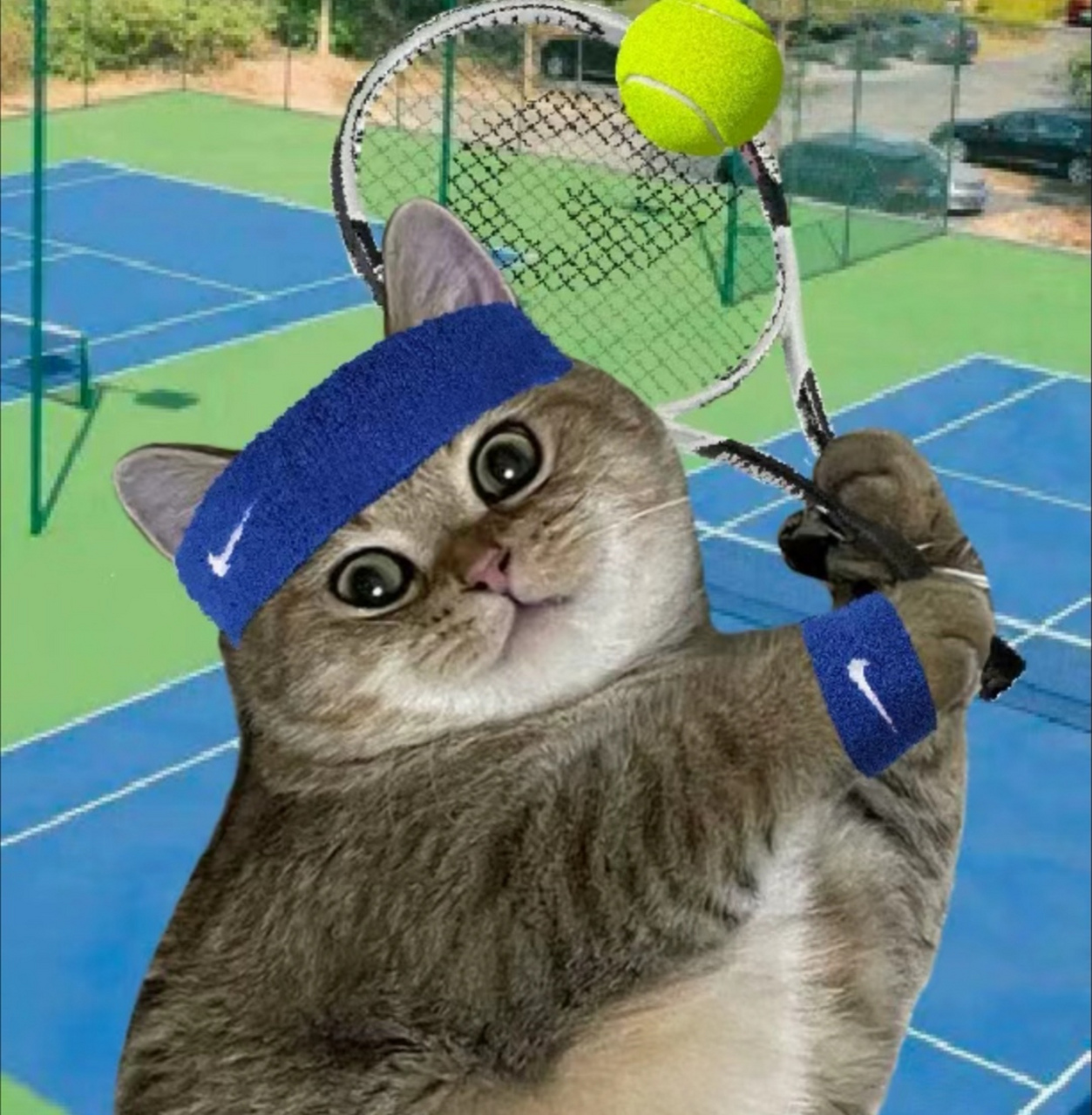 你觉得,打网球的男孩纸和打棒球的男孩纸,哪个更帅?#搞笑# #猫