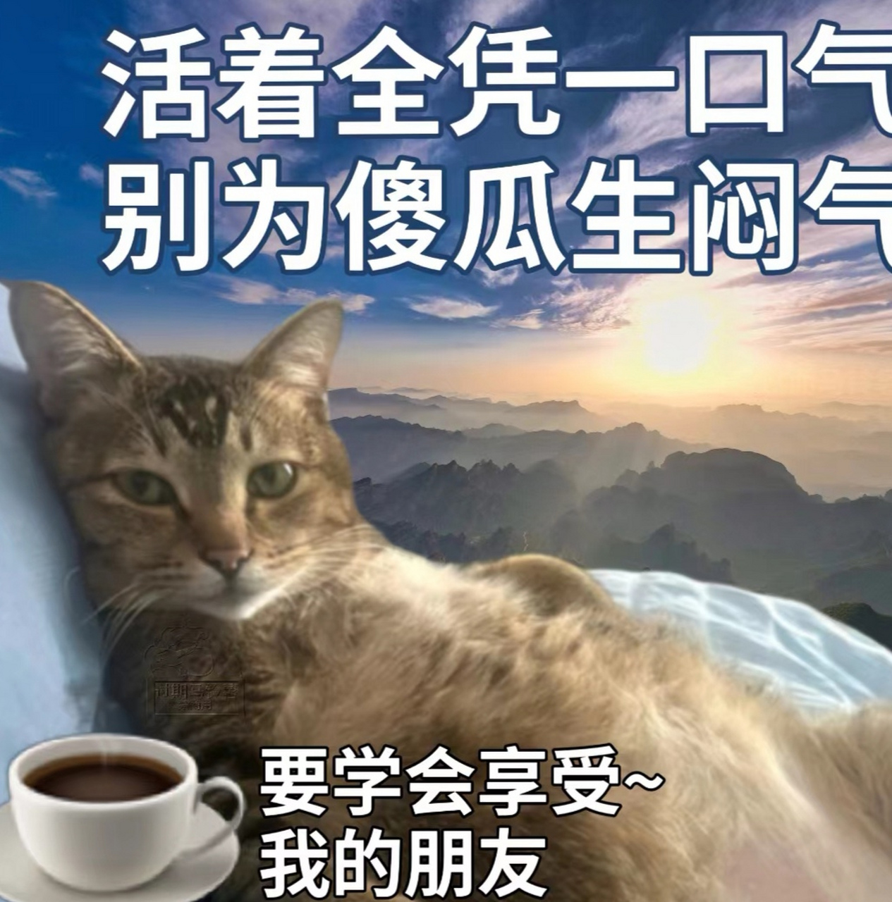 搞笑# #猫# #表情包# #人生感悟# #职场# #助我上热门