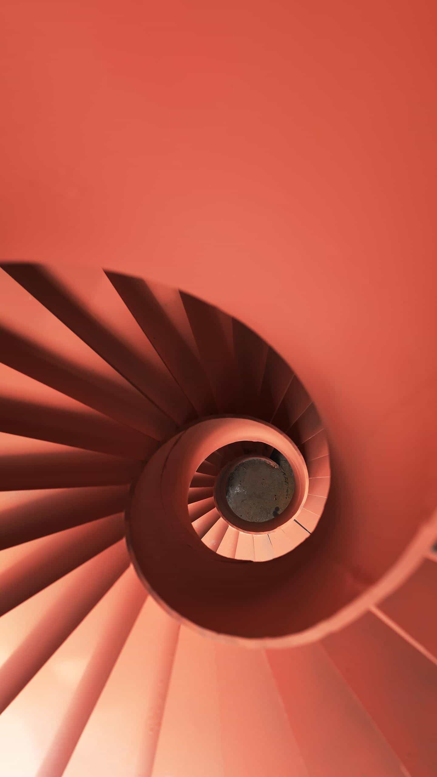 【曼陀罗花花  】  曼陀罗啊,开在高山岗, 霓虹灯下,麻将桌子旁.