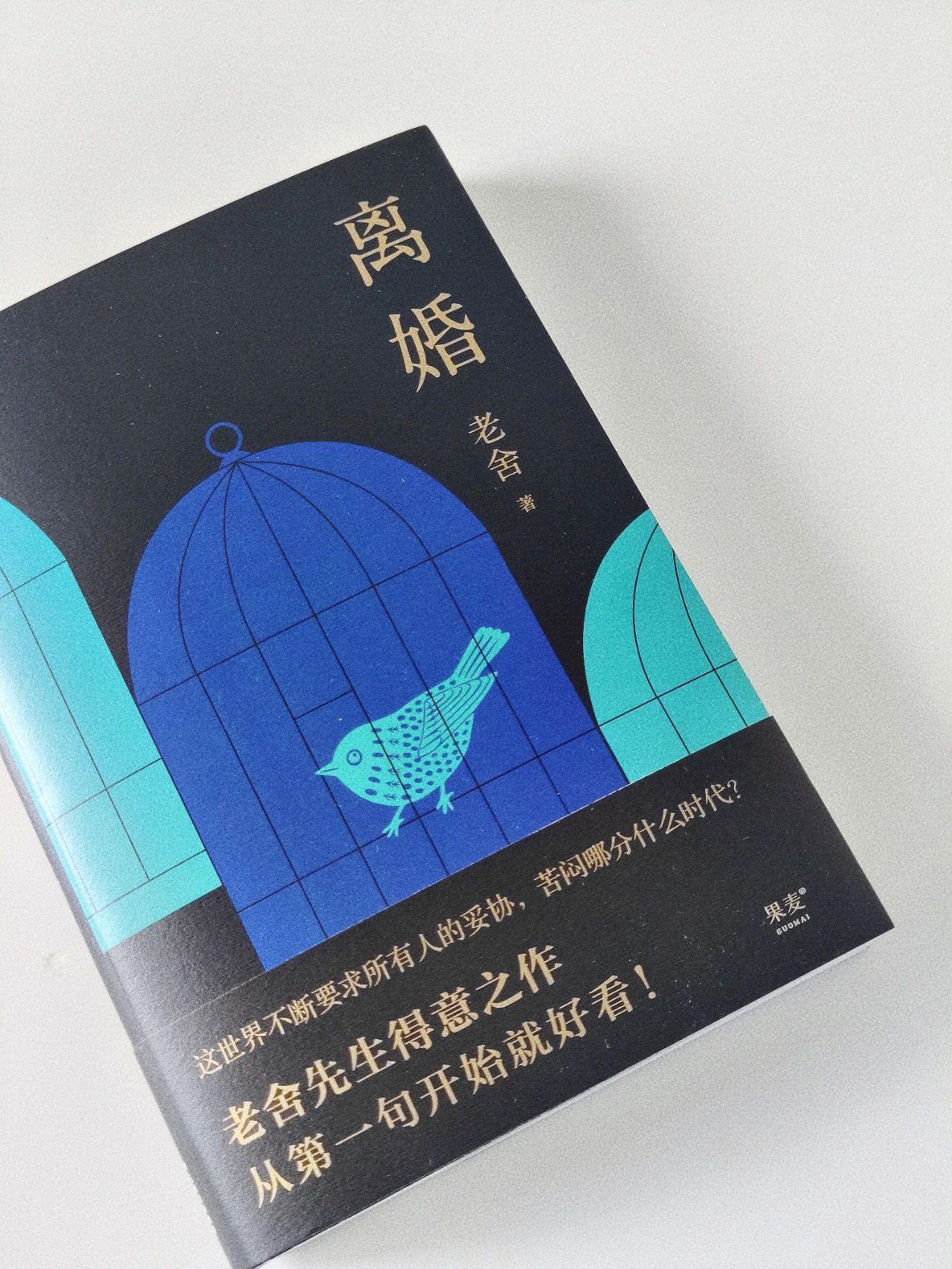 第一章离婚的小说叫什么
