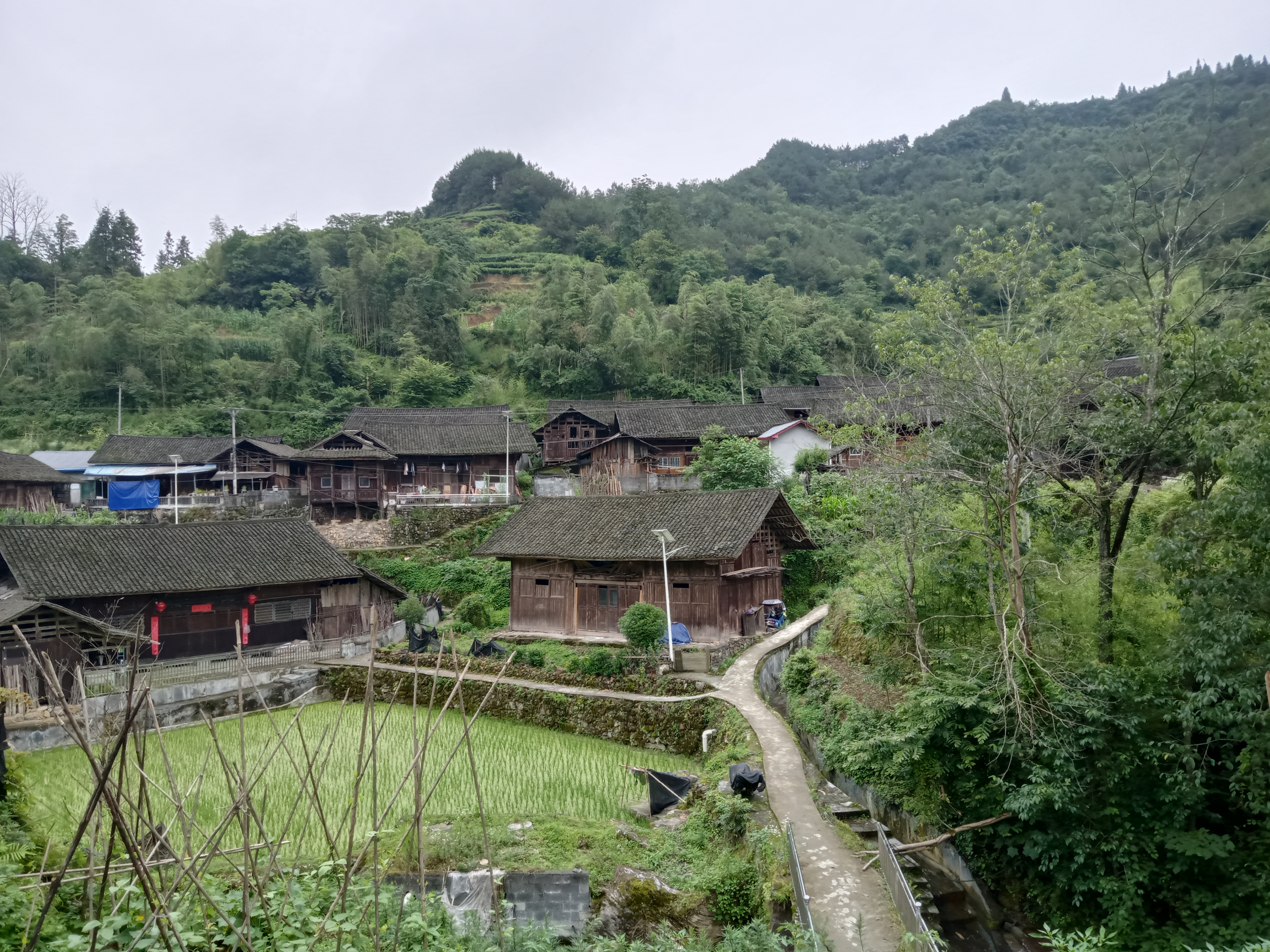 洛小梨山居图片