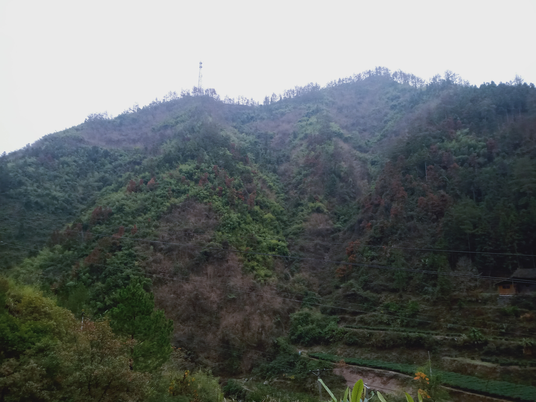 《沧海赋》古风 我负青山二十年 青山待我如初恋 江湖雨夜惆怅客 卧听