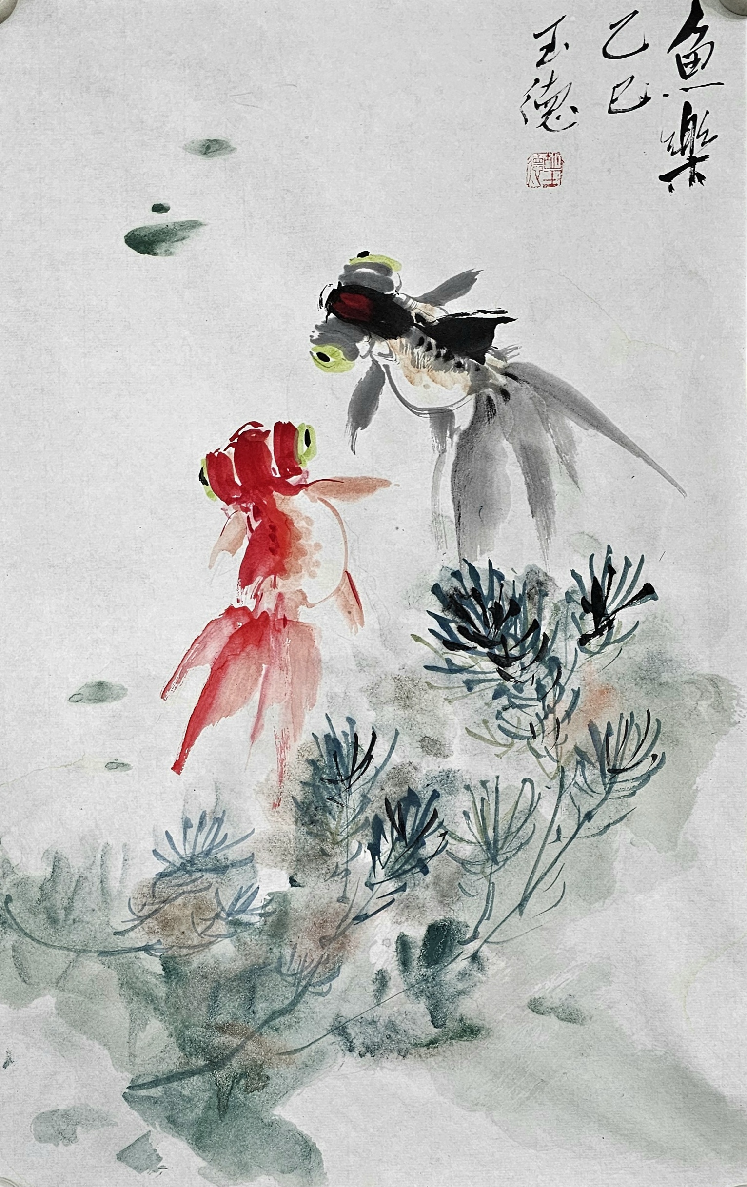 "看这两条鱼,游得多欢快!周末时光,就该这么悠闲自在～"