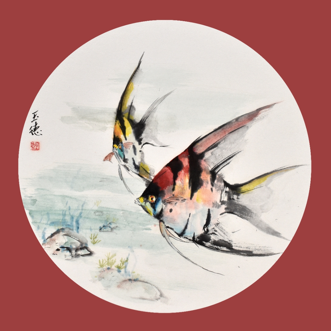 碧波漾处,神仙鱼曳尾如纱,红白相映,似天上流霞坠入凡尘