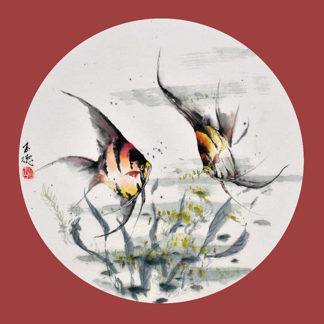 碧波漾处,两尾神仙鱼悠然游弋