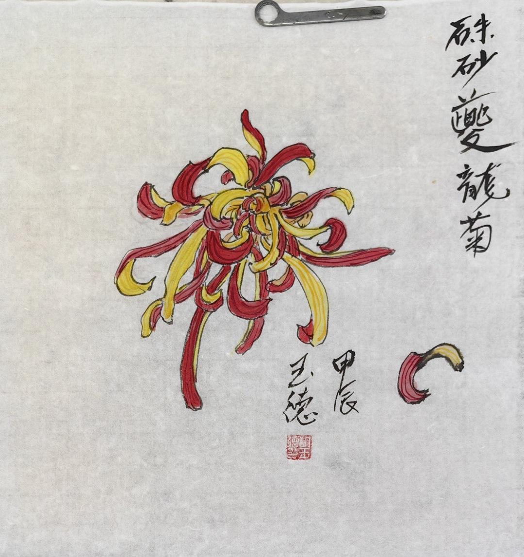 色不掩线,线不夺色,工笔之道,尽在这方寸间的克志兆植菔 菊花顺风顺水