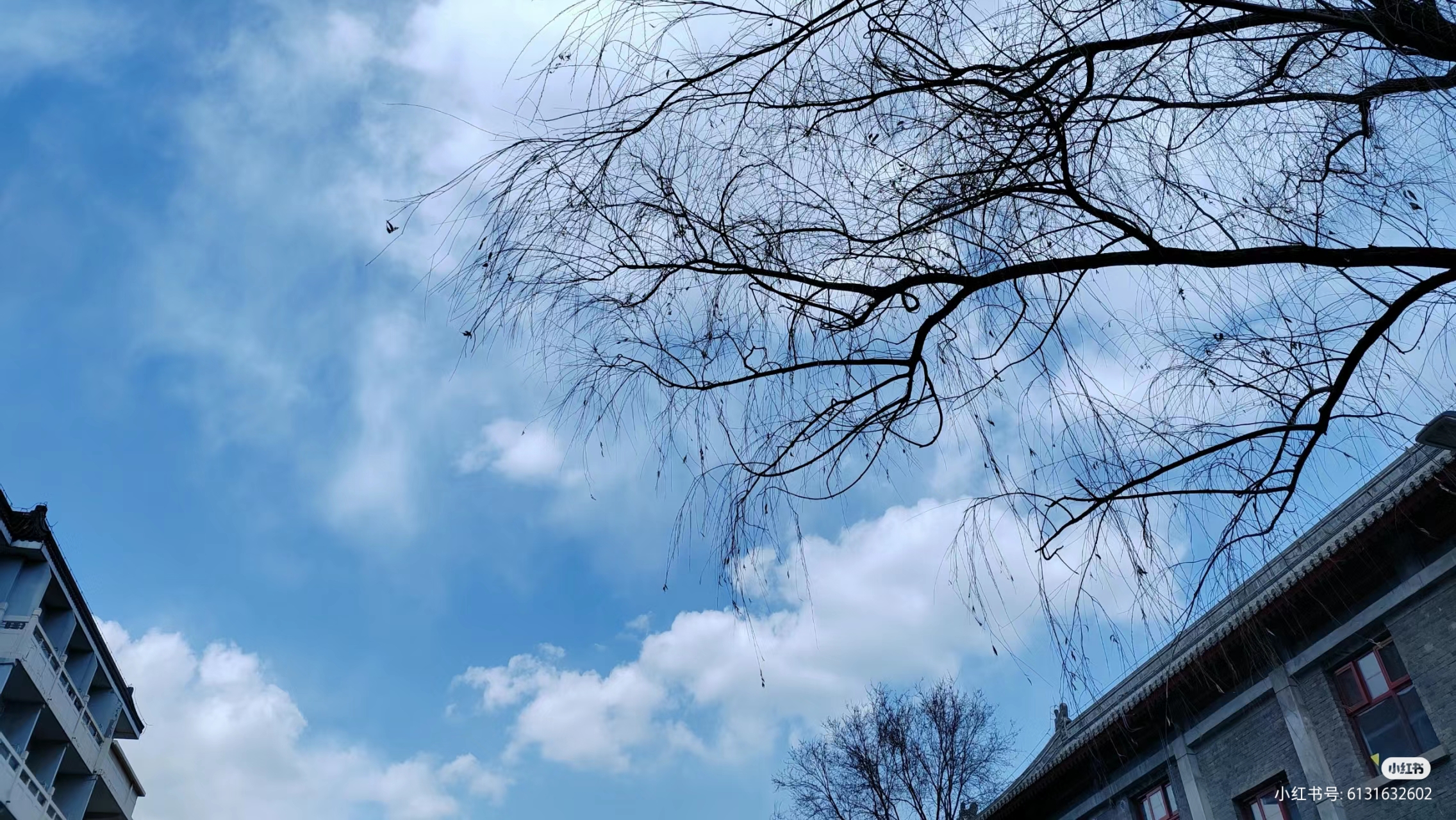 92北大的研究生活:我的日记92  99"进入北大,我感到无比自豪.