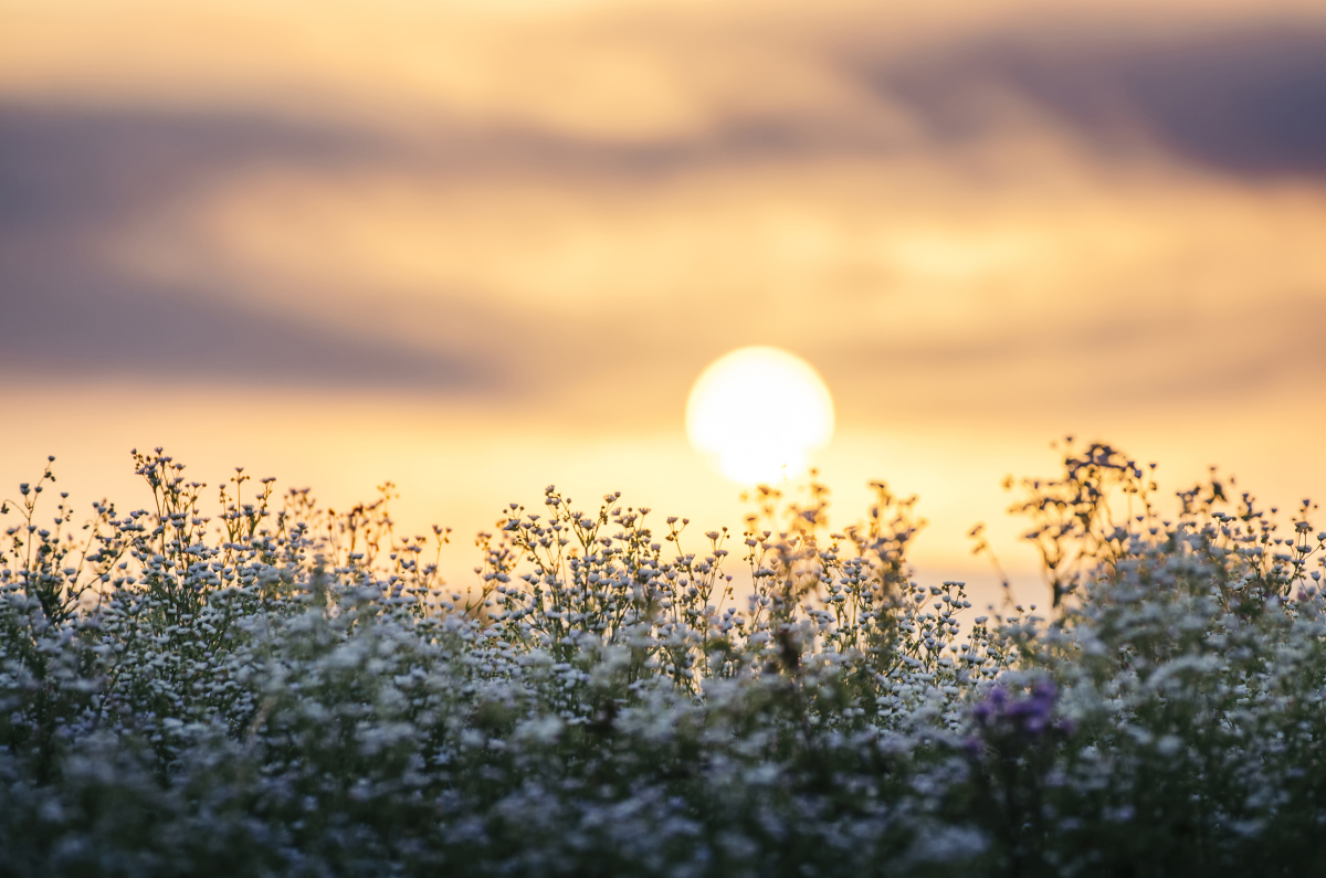 阳光正好 #心情明媚 #生活美好