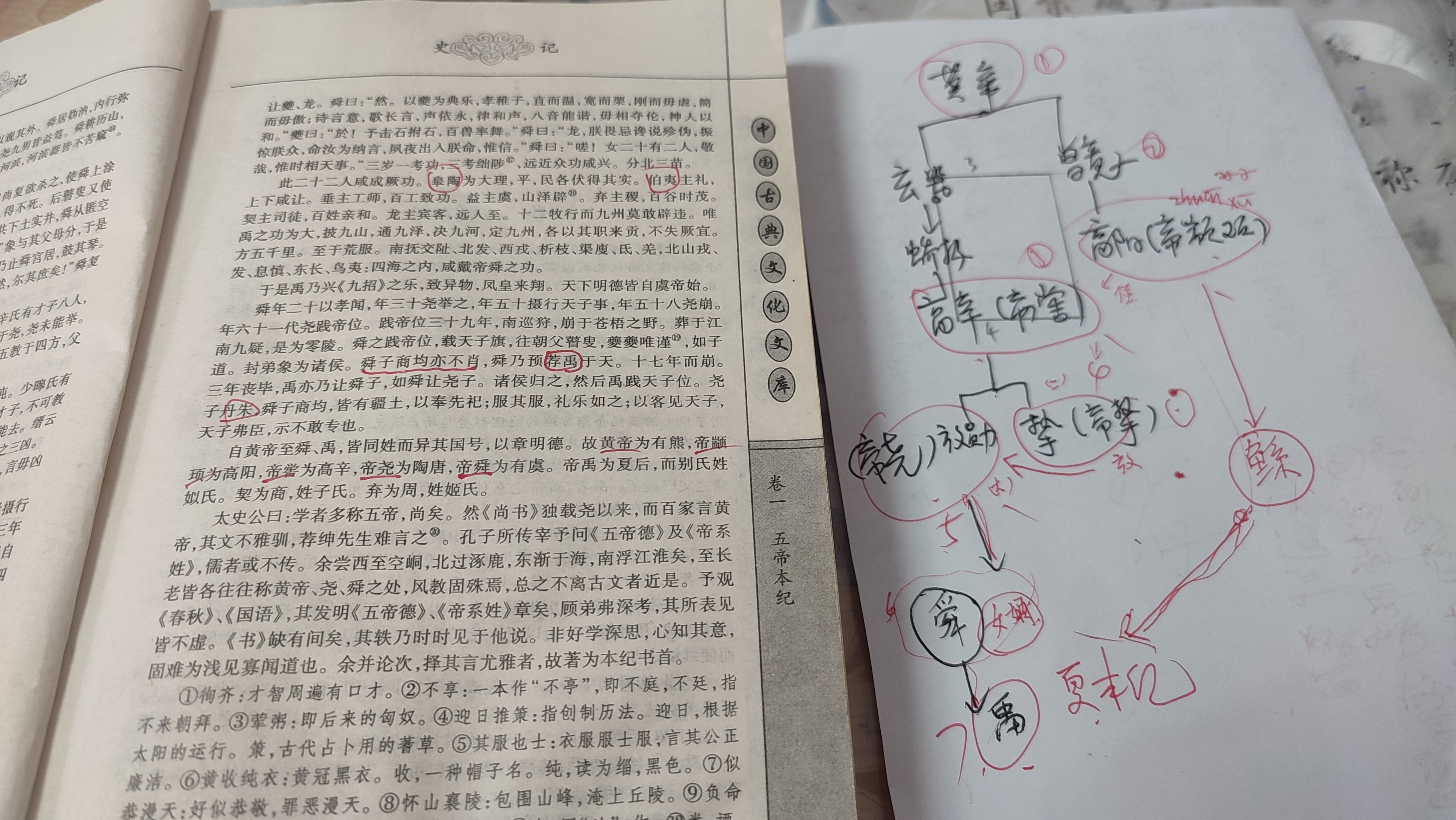 黄帝传位给孙子高阳(帝颛顼),高阳传位给侄子高辛(帝喾),高辛传位给
