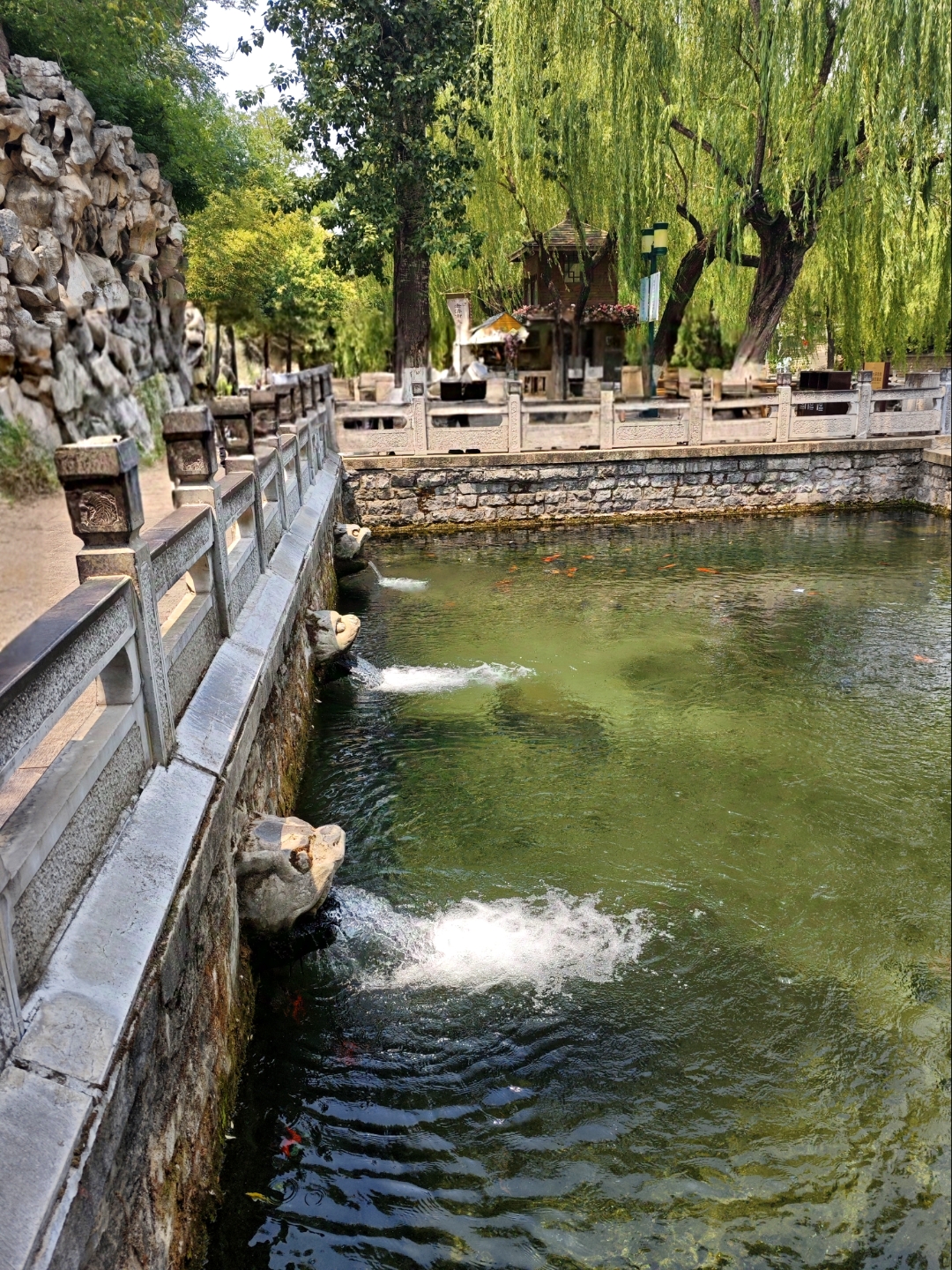 济南护城河畔,泉水清澈,鱼儿雀跃,众泉汇流成河,红色地标毅然挺立