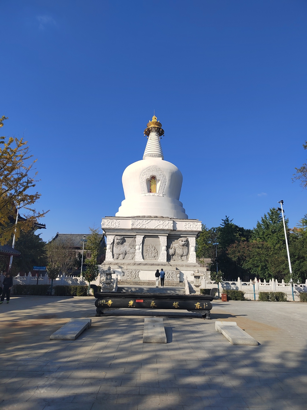 宇宙银河系地球中国辽宁省沈阳市大东区东塔永光寺 僧众放生