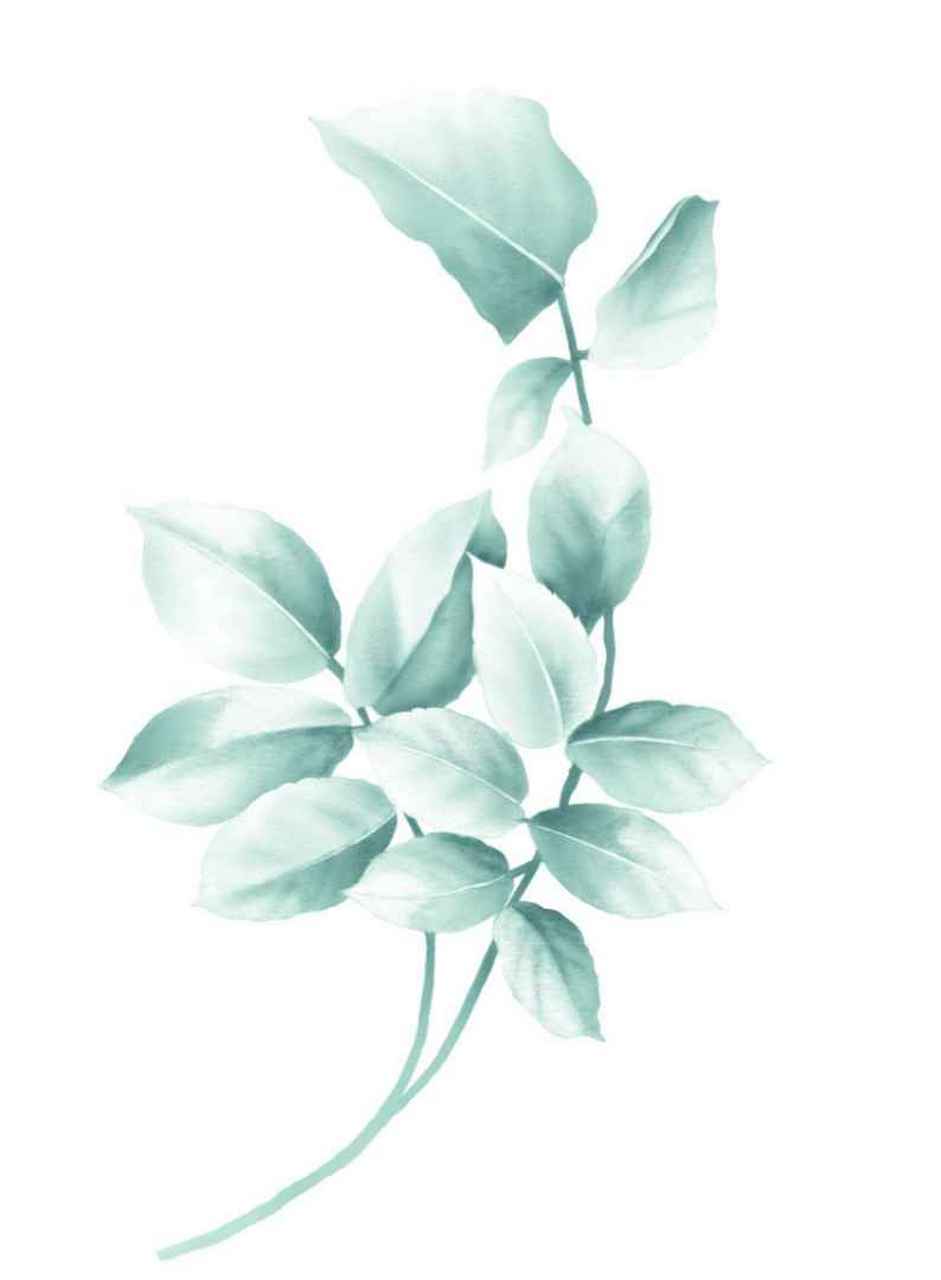 公务员言语理解:经常读错的字  1,颔首――"颔"读han (汉),不读han