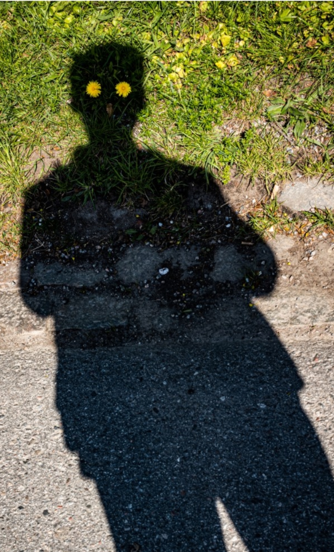 摄影师捕捉瞬间太有创意了