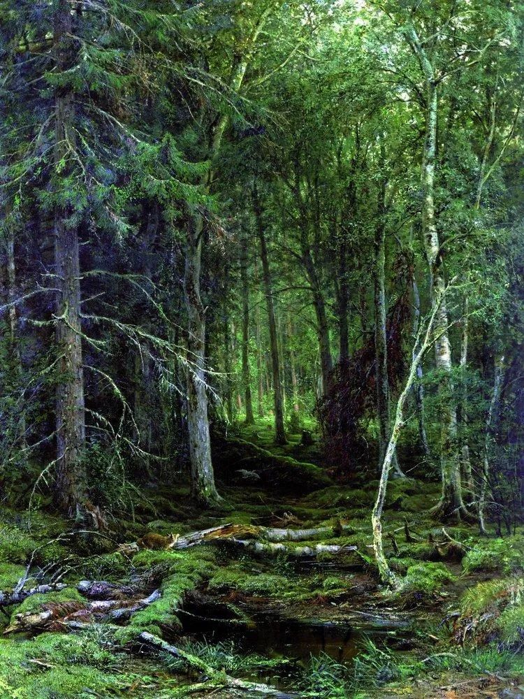 森林里的大树 希施金(ivan ivanovich shishkin,1832年-1898年)是俄国
