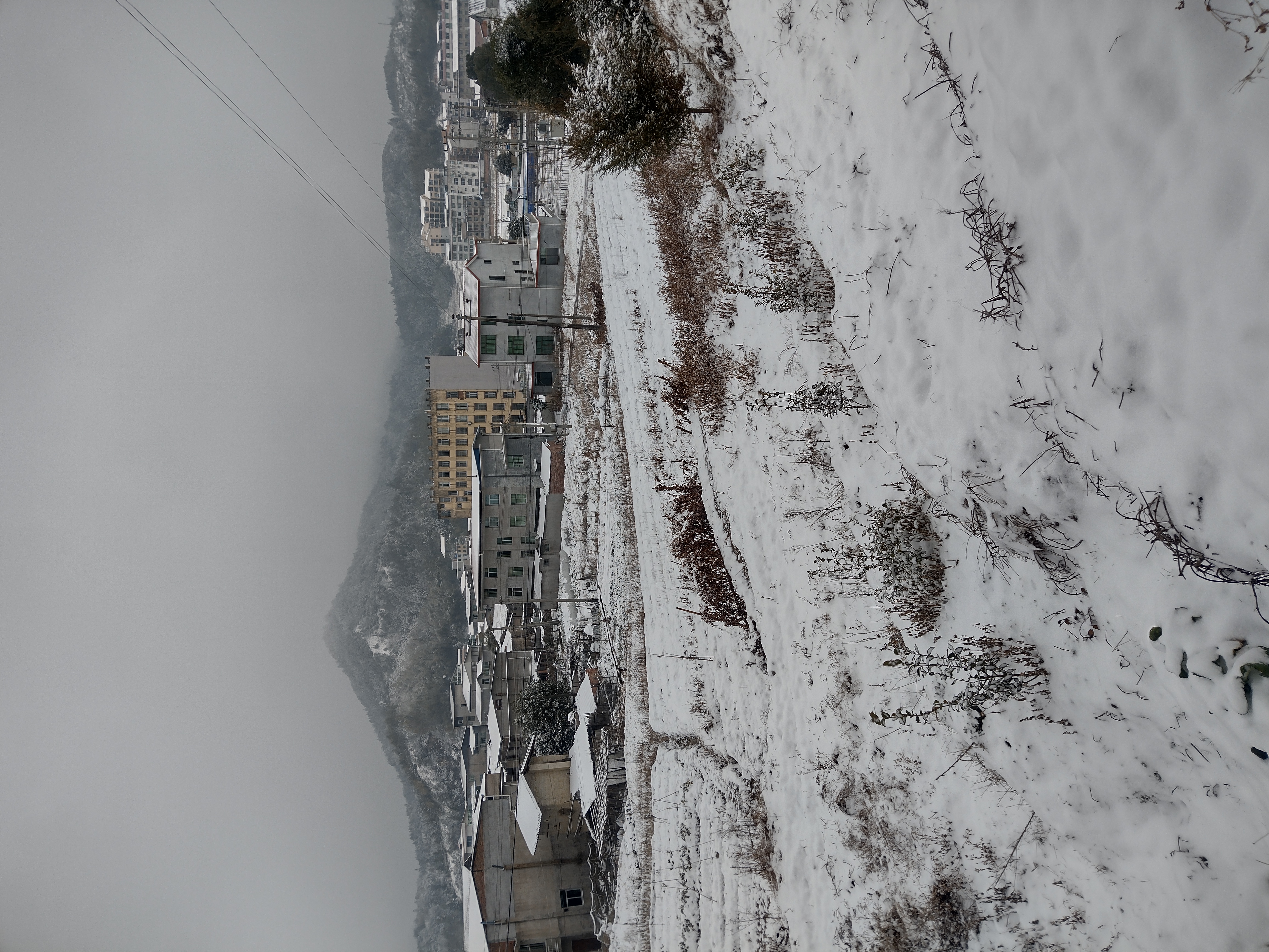 池店镇下雪图片