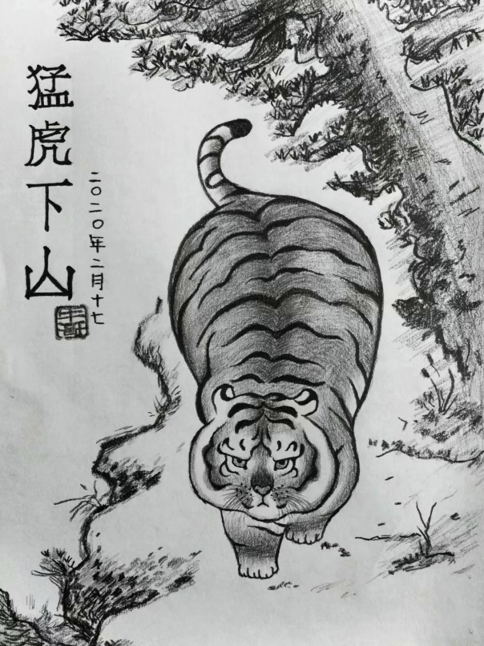 素描猛虎下山,吃胖了.