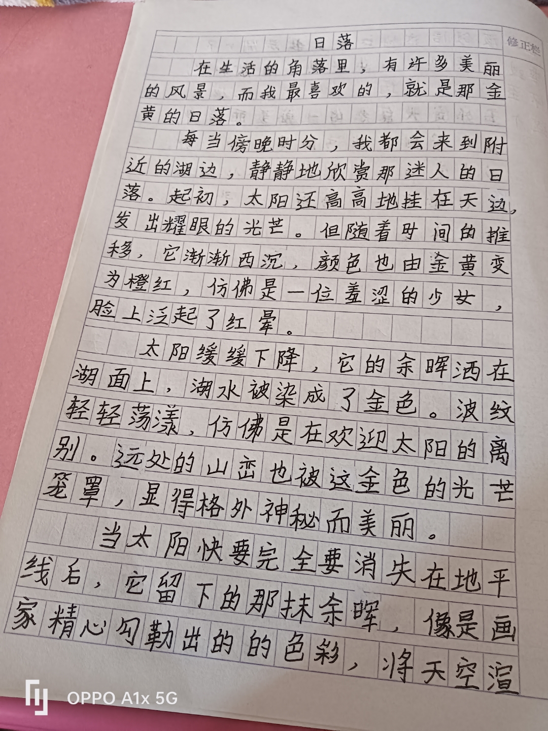 日记600字手写图片