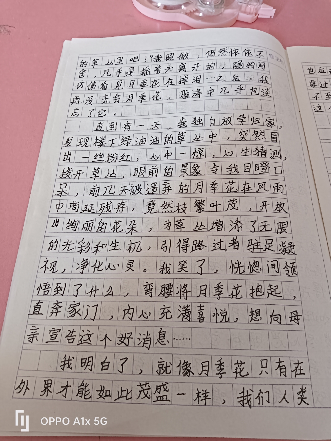 意外的收获作文