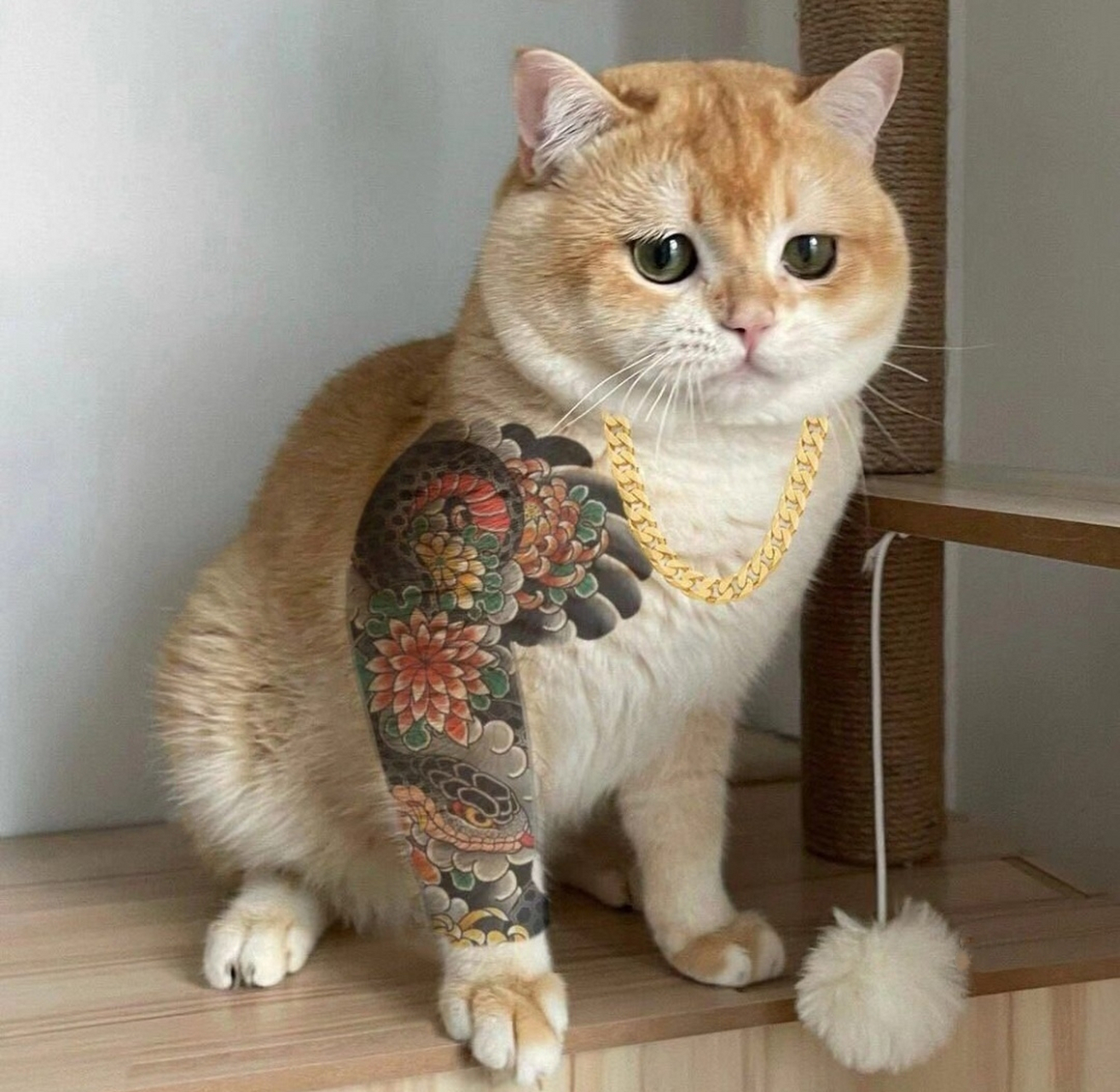 真漂亮(不知谁家的纹身猫)[赞同][开心]