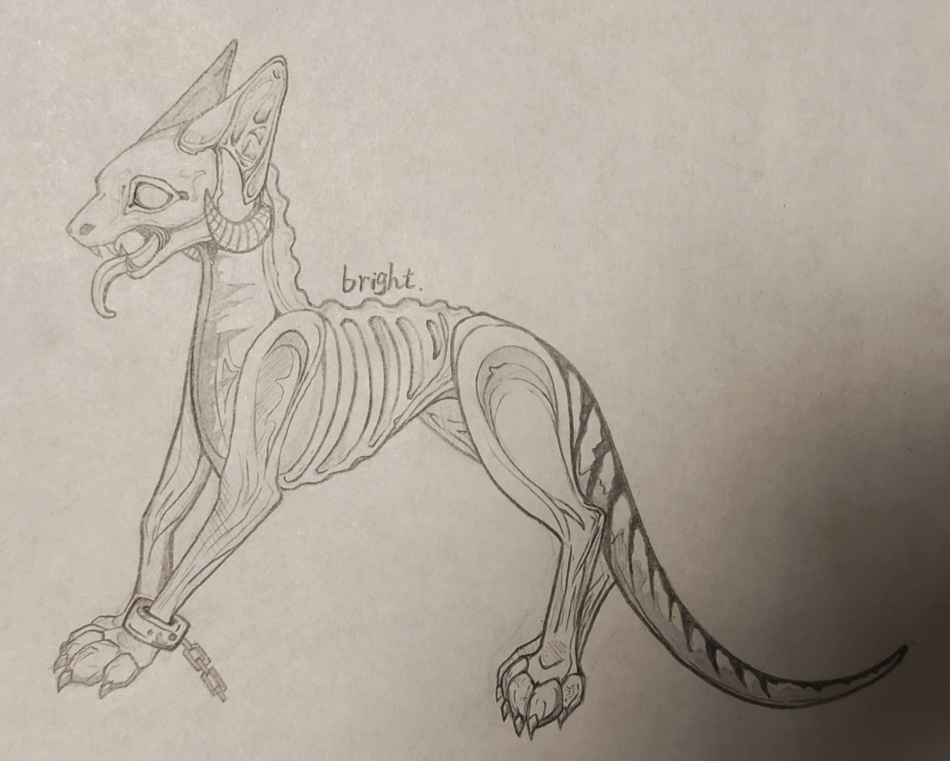 脆脆的小狐狸骨头,好吃不贵