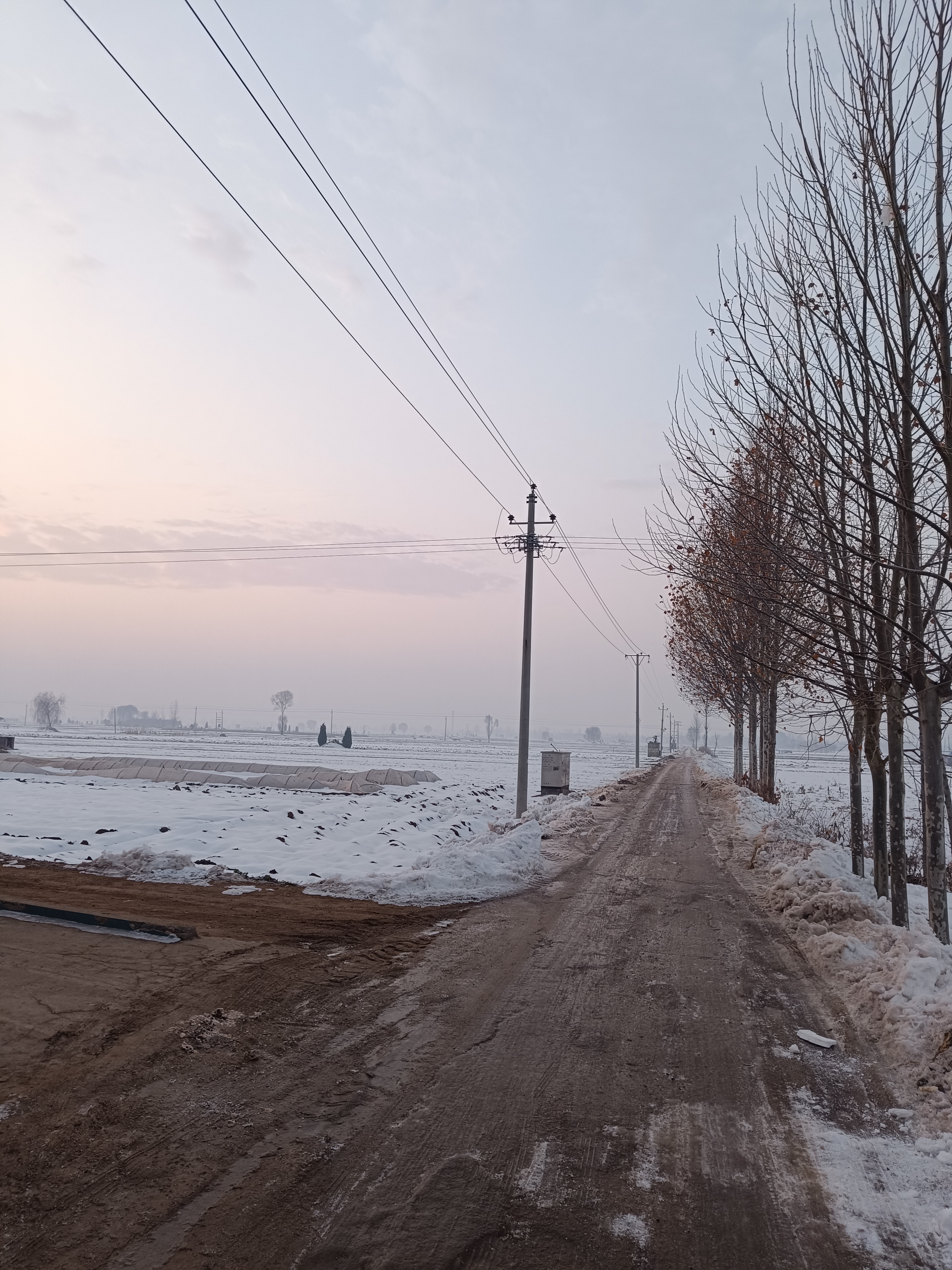 雪后乡间的小路