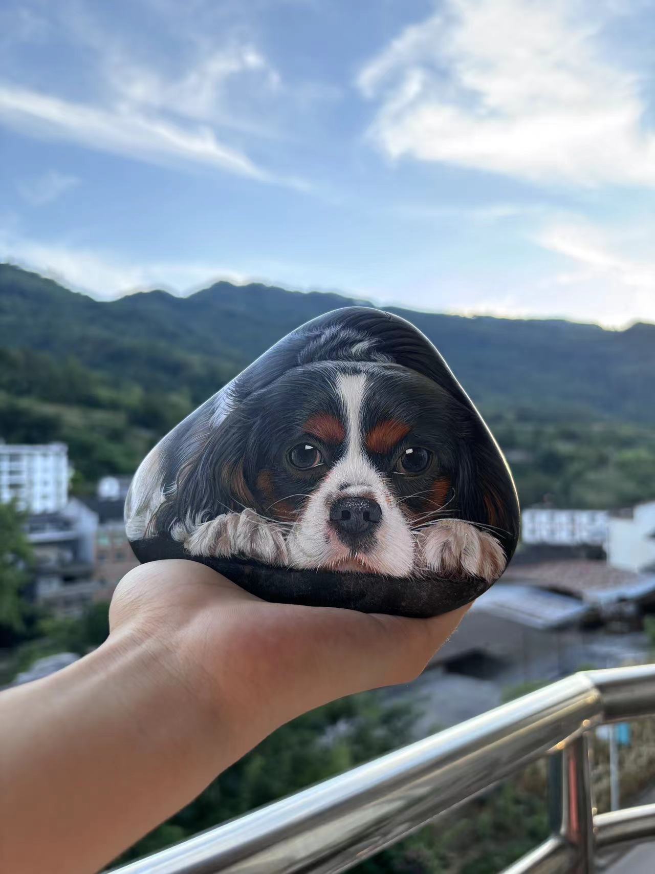 路边捡一块石头画一只本村最靓的,乘着夕阳余晖在阳台上各种晒