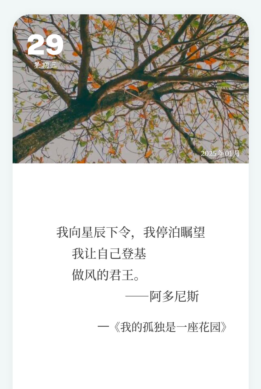小时候我们词不达意,长大我们言不由衷,真正的离别
