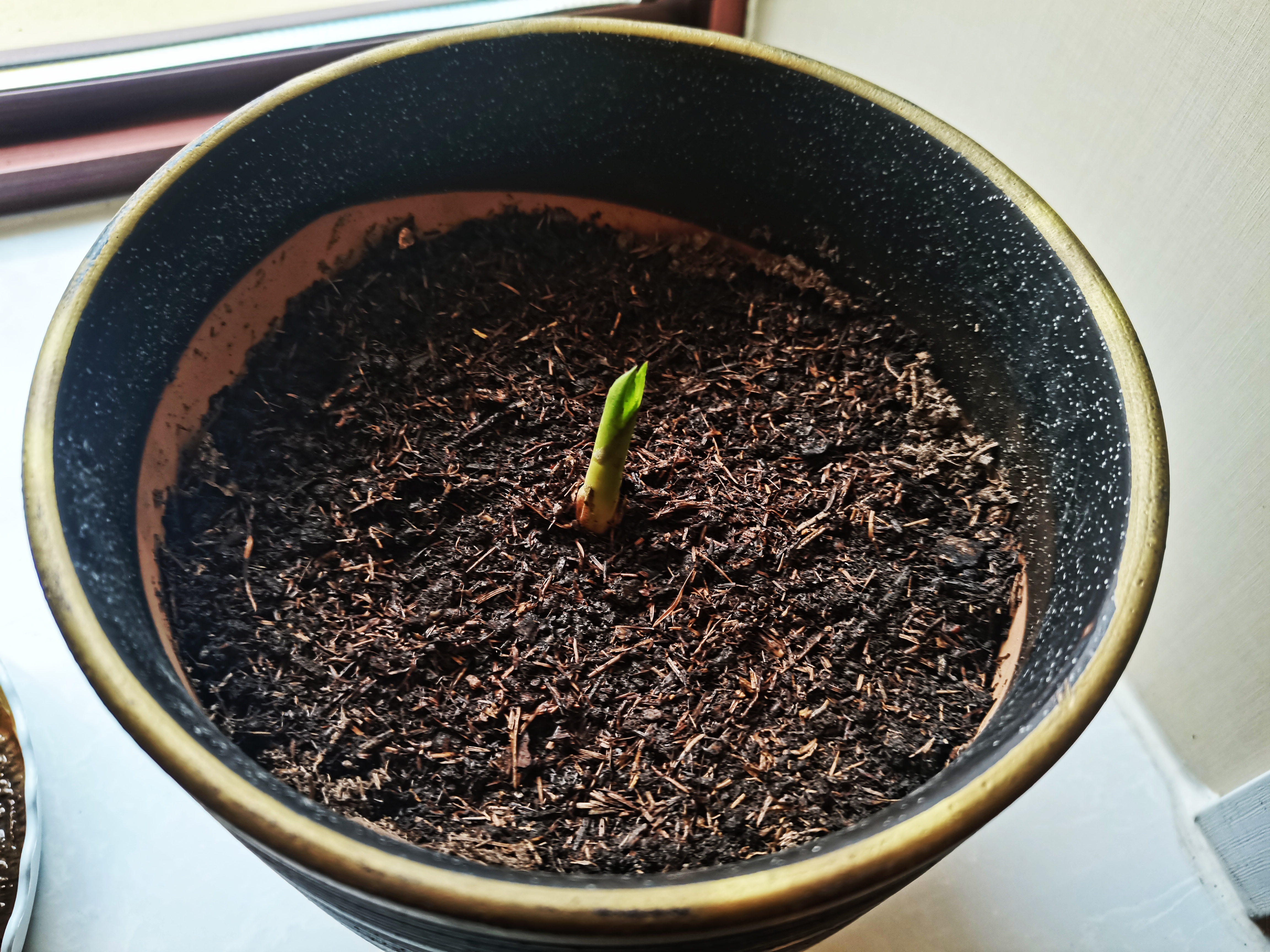 终于终于终于终于终于终于终于终于终于终于