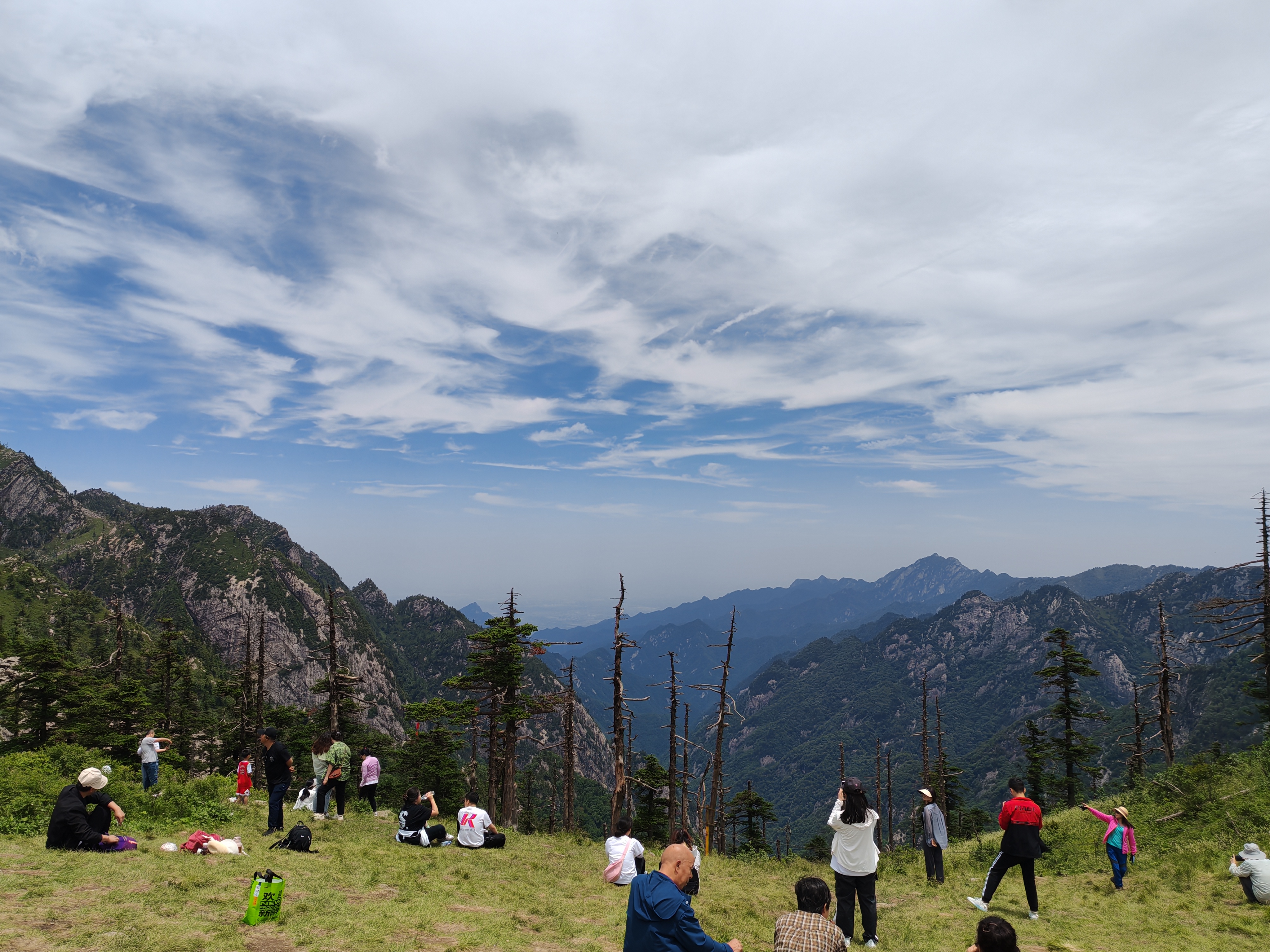 朱雀森林公园高山草甸图片