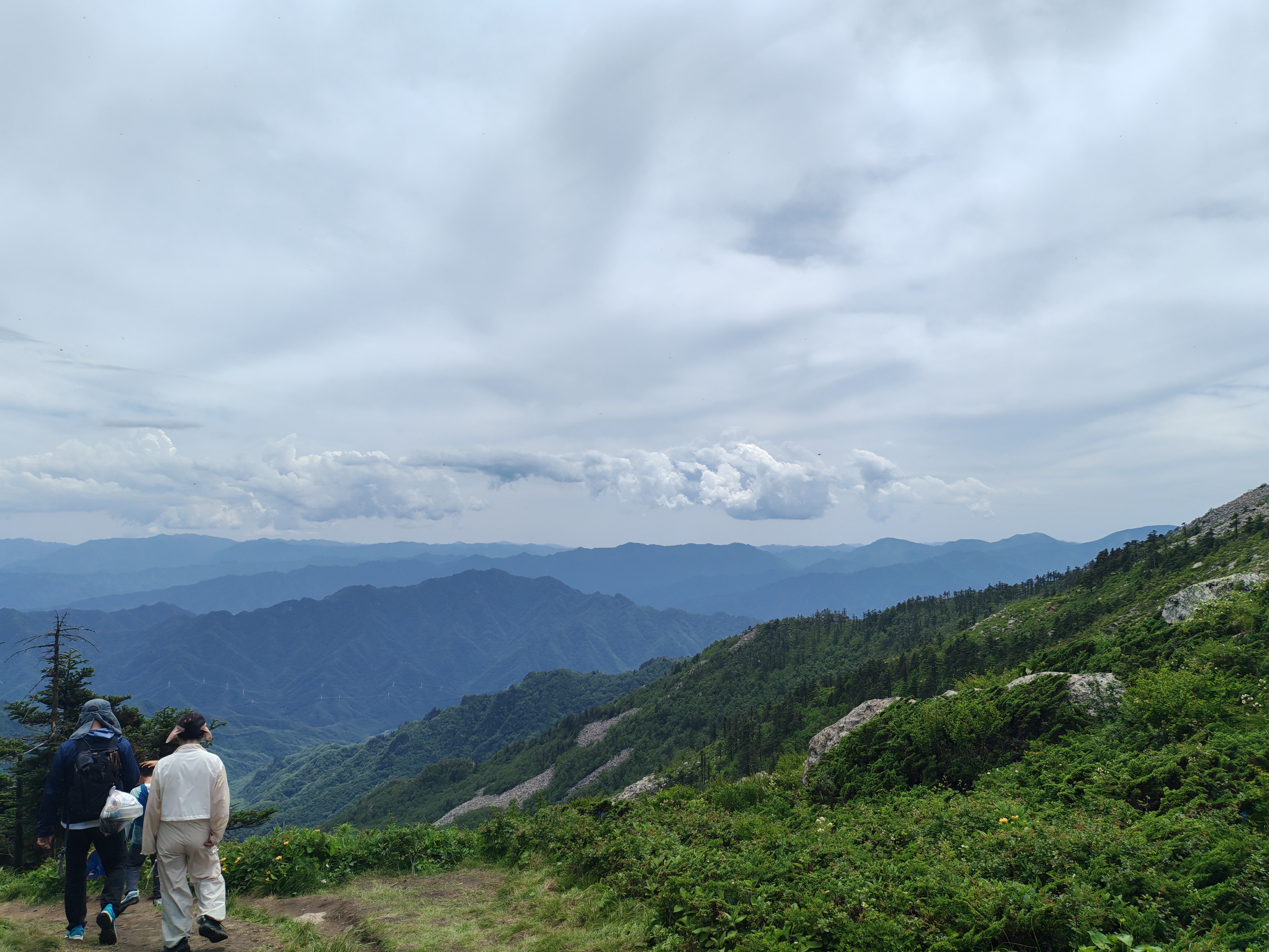 朱雀森林公园高山草甸图片